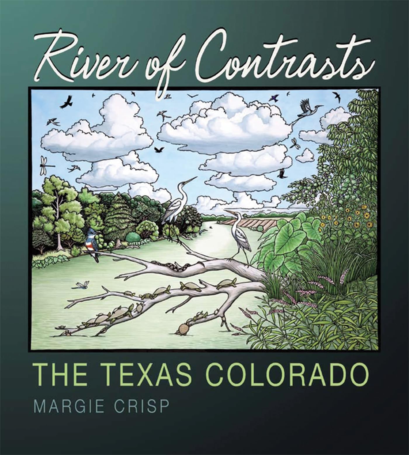 River of Contrasts: The Texas Colorado (Pam and Will Harte Books on Rivers, sponsored by The Meadows Center for Water and the Environment, Texas State University) used book depot