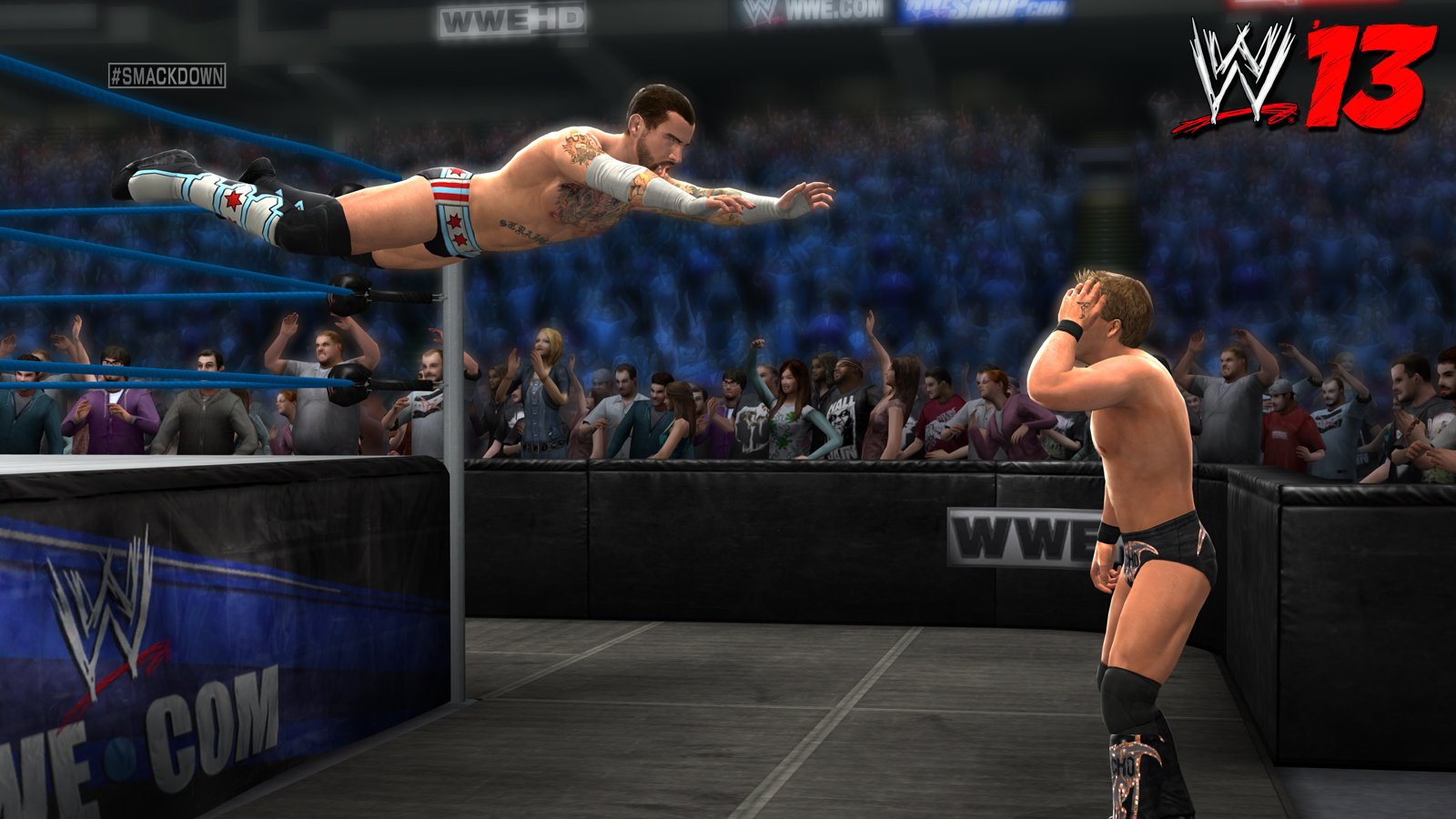 WWE '13 used book depot