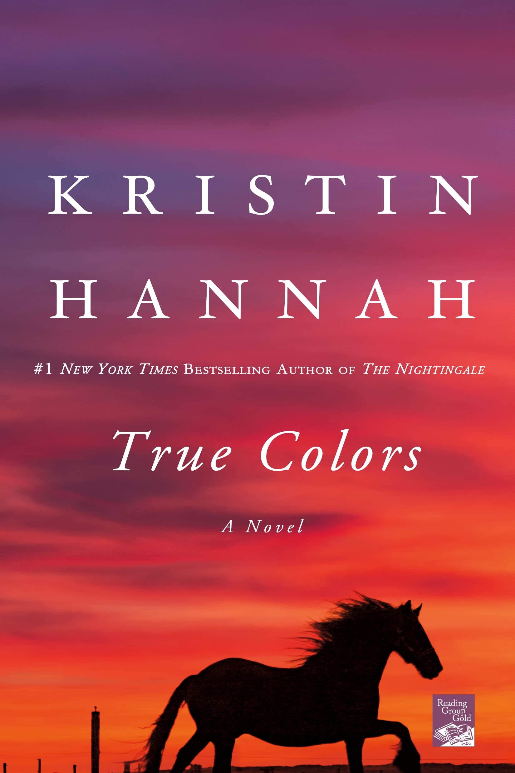 True Colors: A Novel used book depot