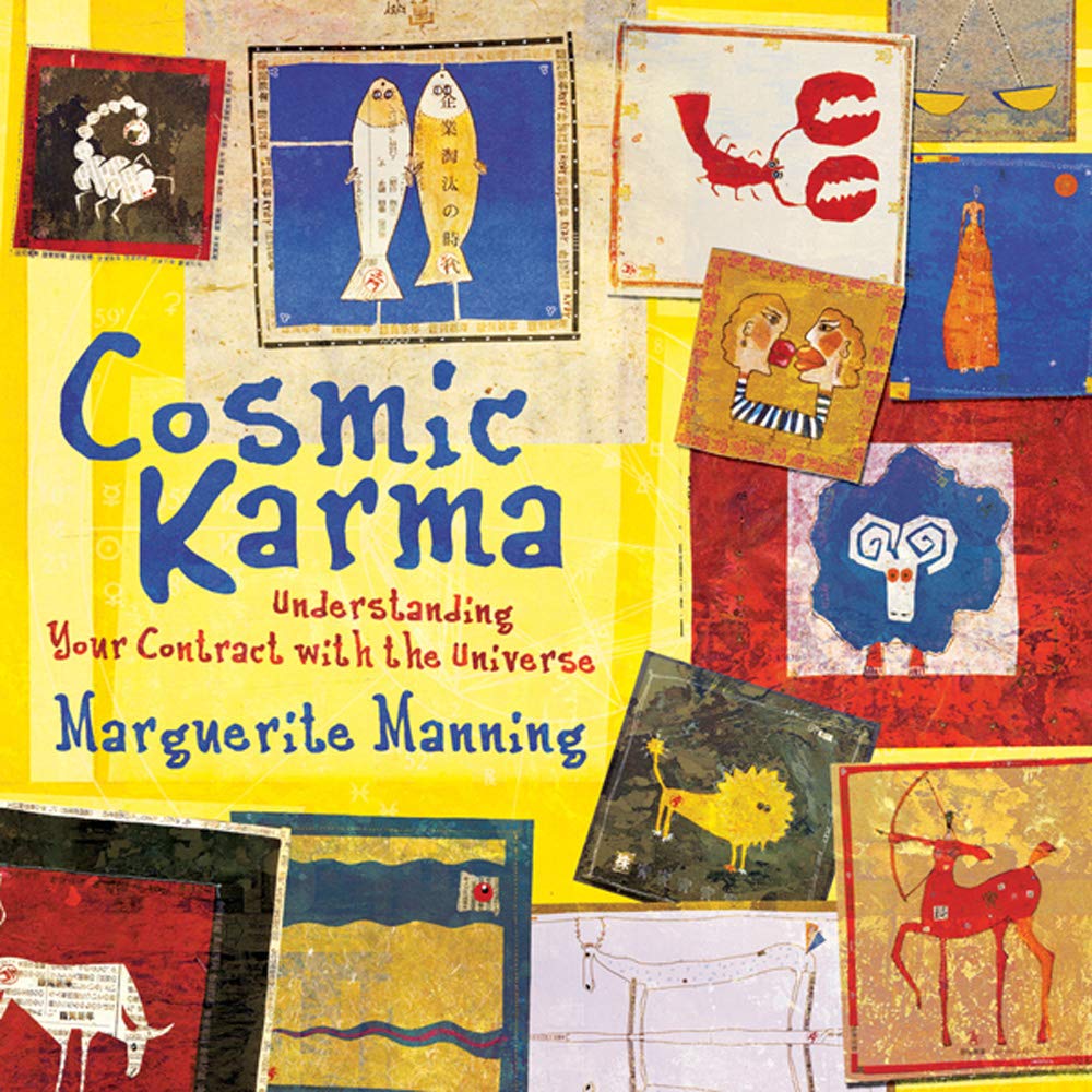 Cosmic Karma: Understanding Your Contract with the Universe used book depot