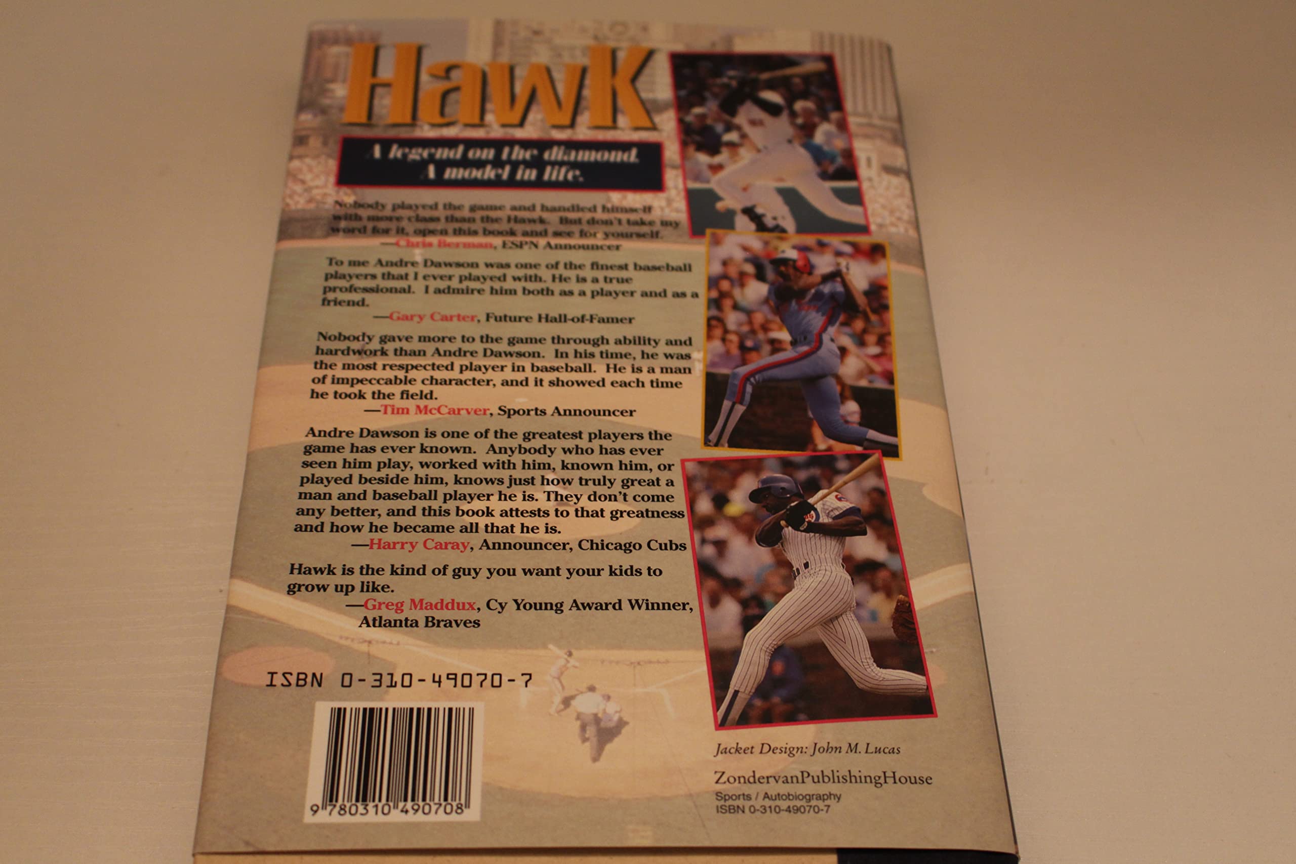 Hawk: An Inspiring Story of Success at the Game of Life and Baseball used book depot