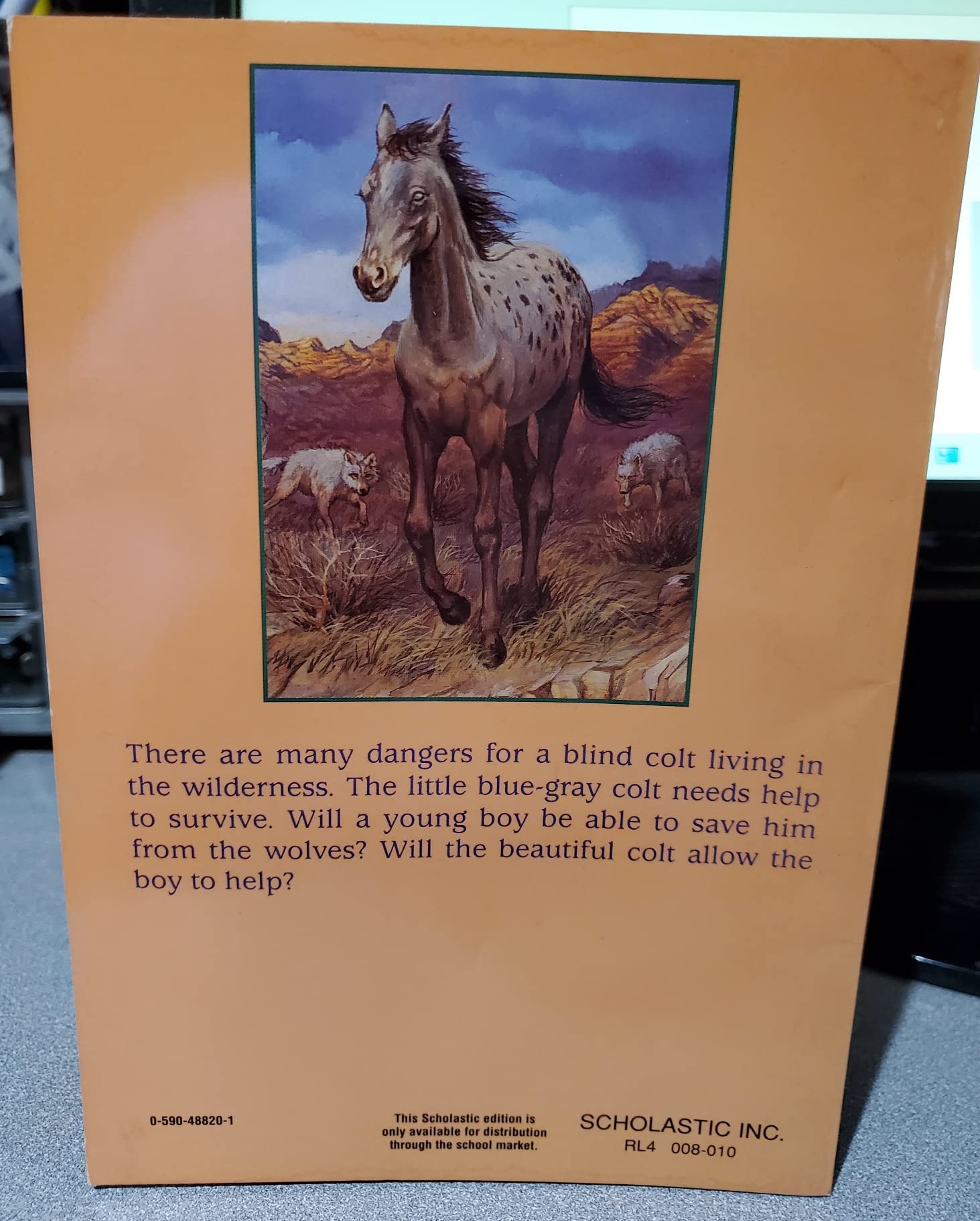 The Blind Colt used book depot