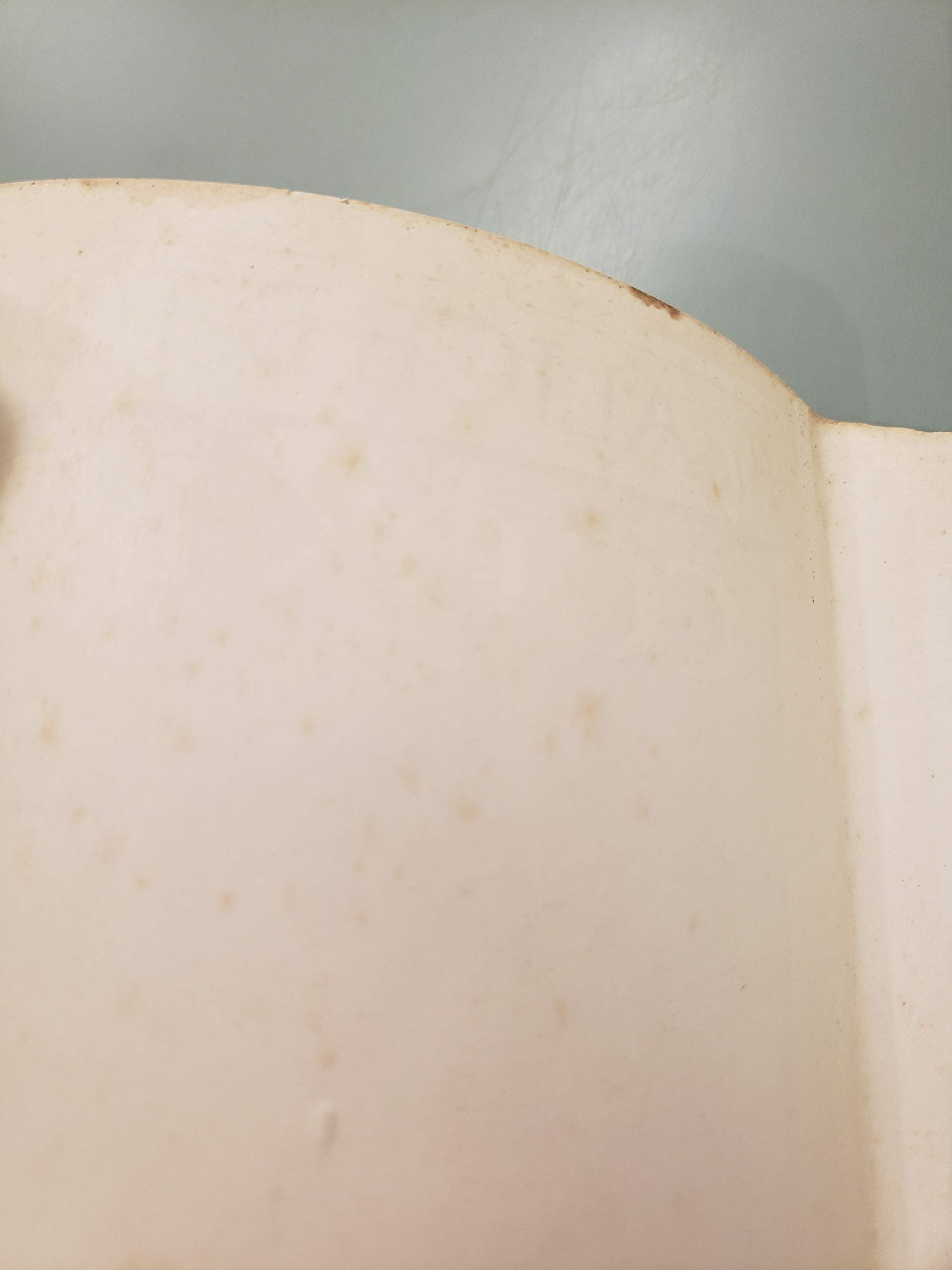 The Alice B. Toklas Cook Book used book depot