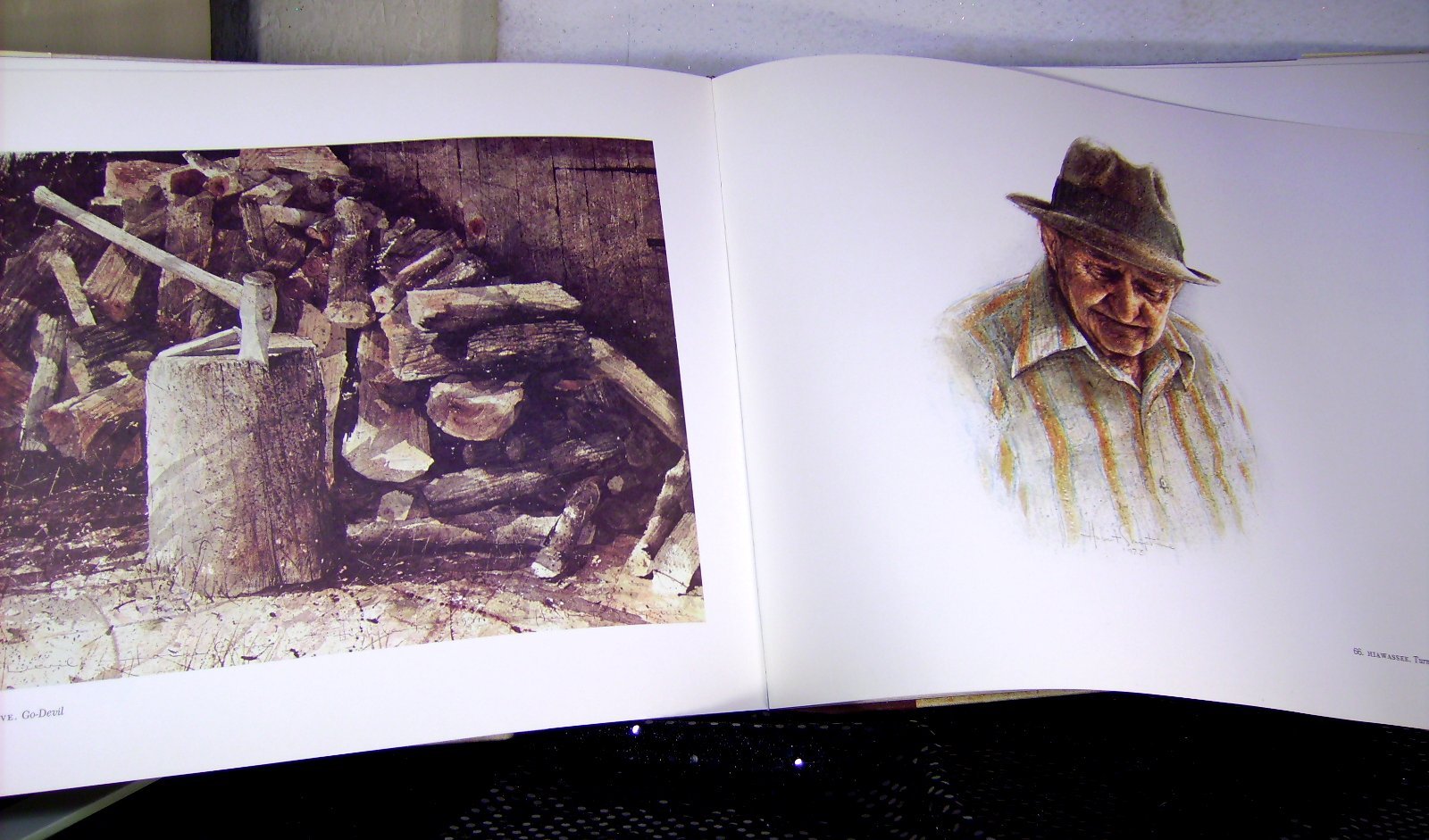 Jericho: The South Beheld used book depot