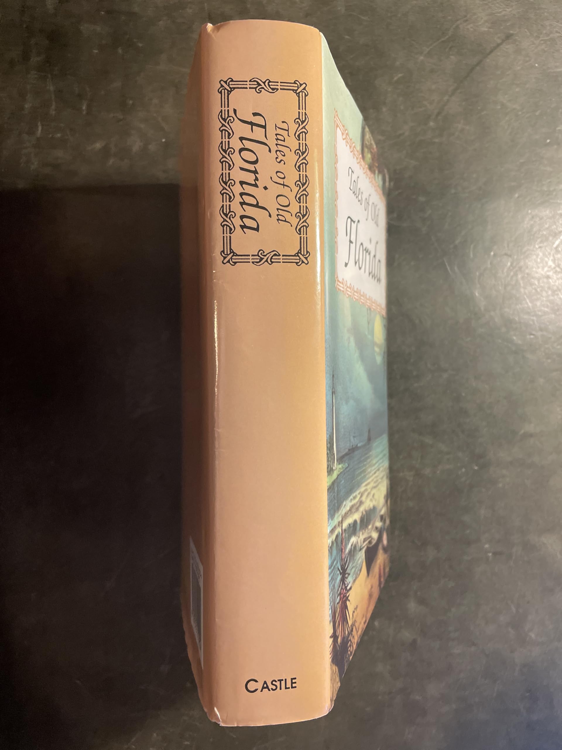 Tales of Old Florida used book depot
