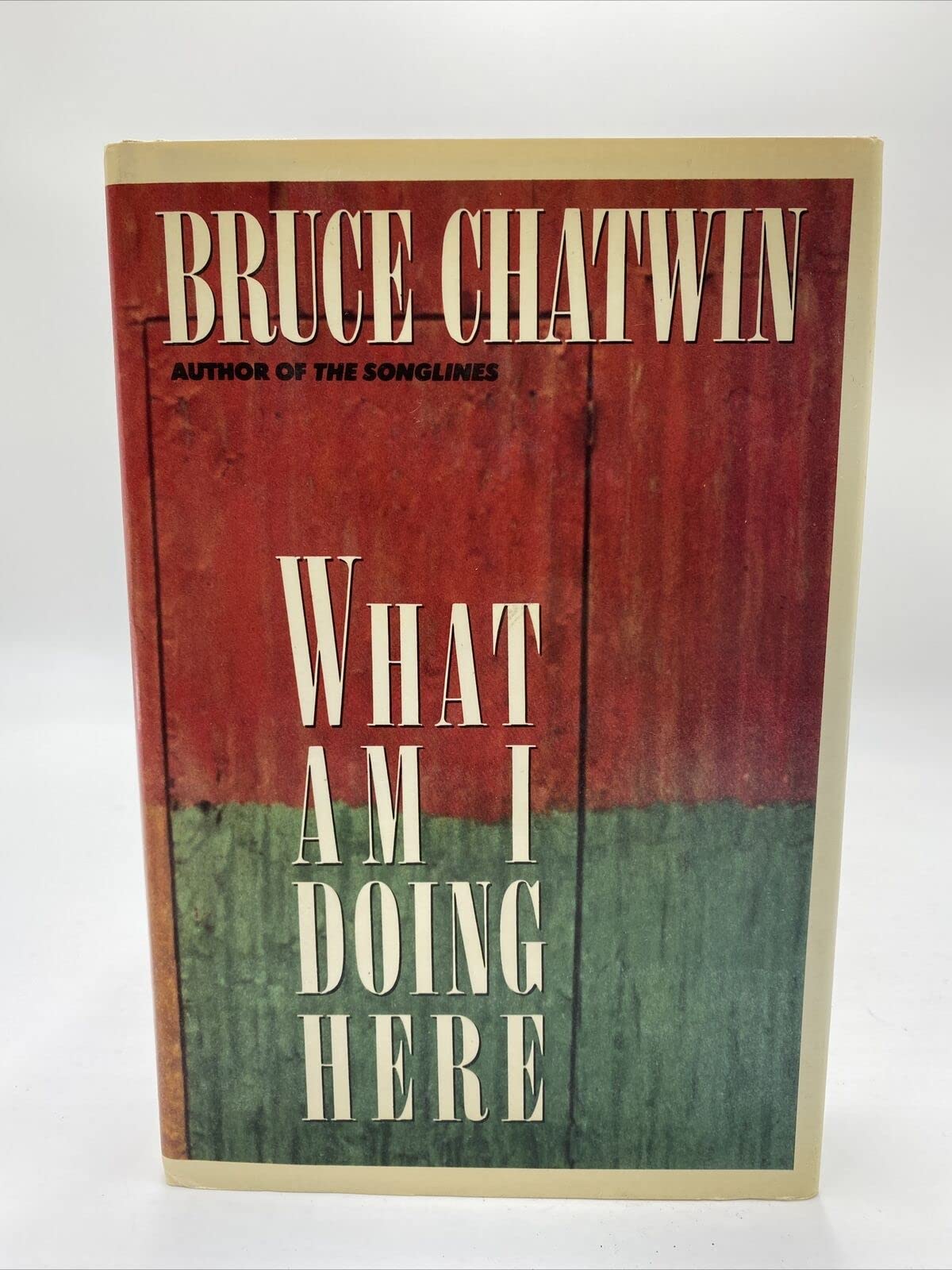 What Am I Doing Here? used book depot