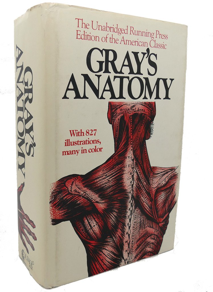 Gray's Anatomy: The Unabridged Running Press Edition of the American Classic used book depot