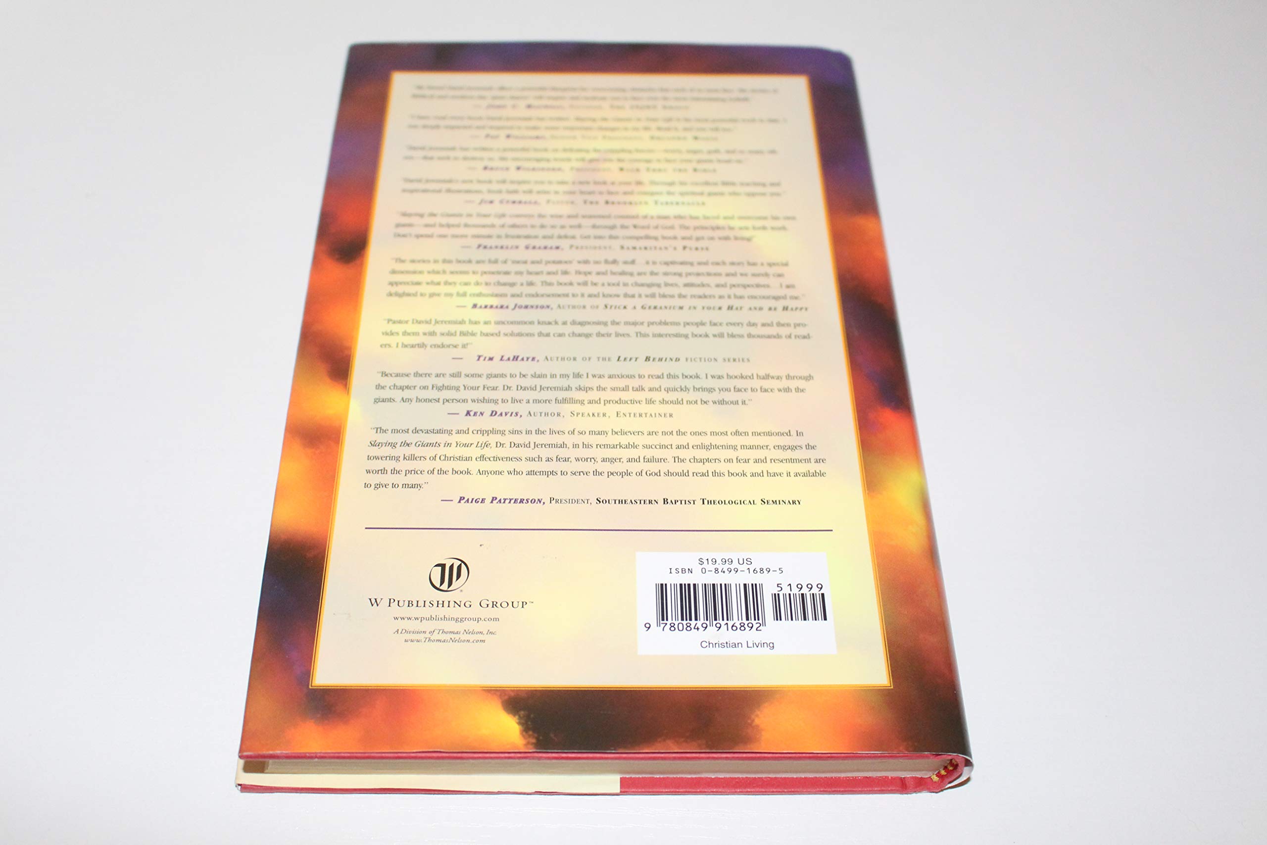Slaying the Giants in Your Life used book depot