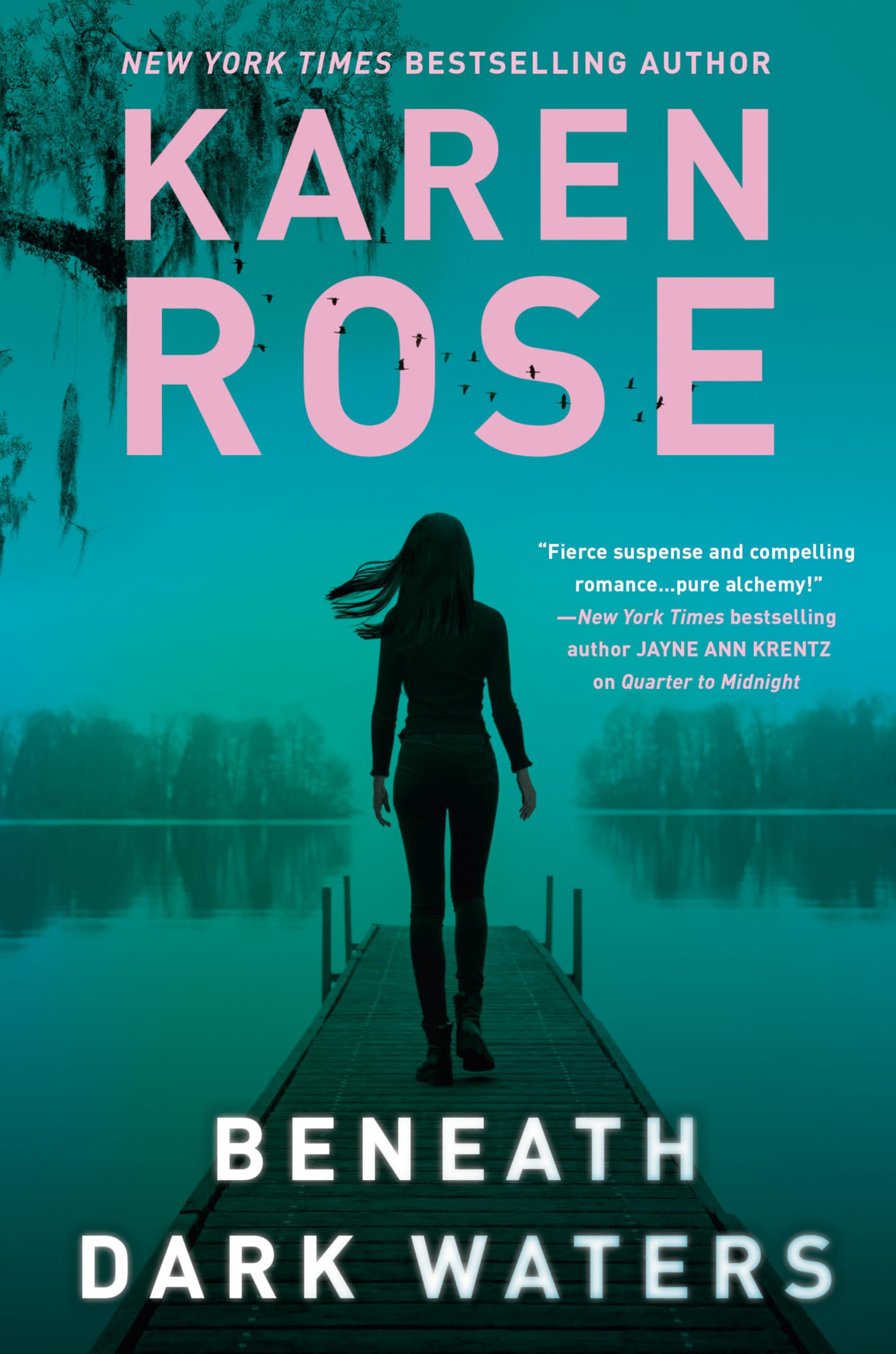 Beneath Dark Waters (A New Orleans Novel) used book depot