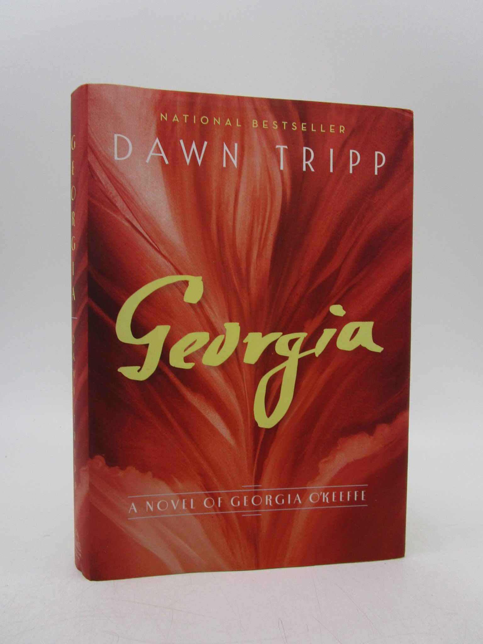 Georgia: A Novel of Georgia O'Keeffe used book depot