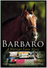 Barbaro: A Nation's Love Story