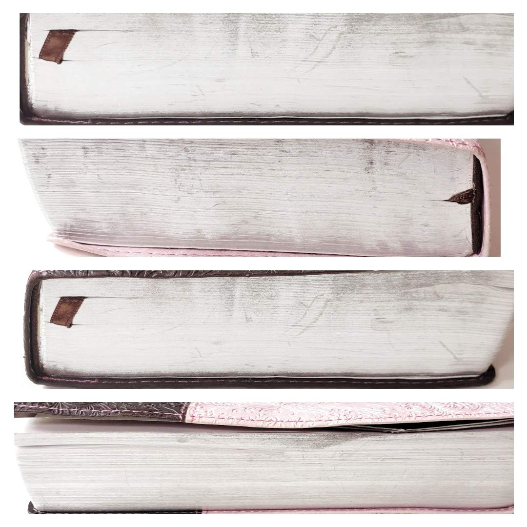 Holy Bible NLT, Personal Size Large Print edition, TuTone (Red Letter, LeatherLike, Pink/Brown) used book depot