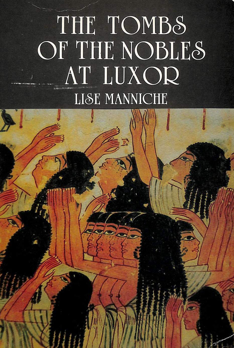 The tombs of the nobles at Luxor used book depot
