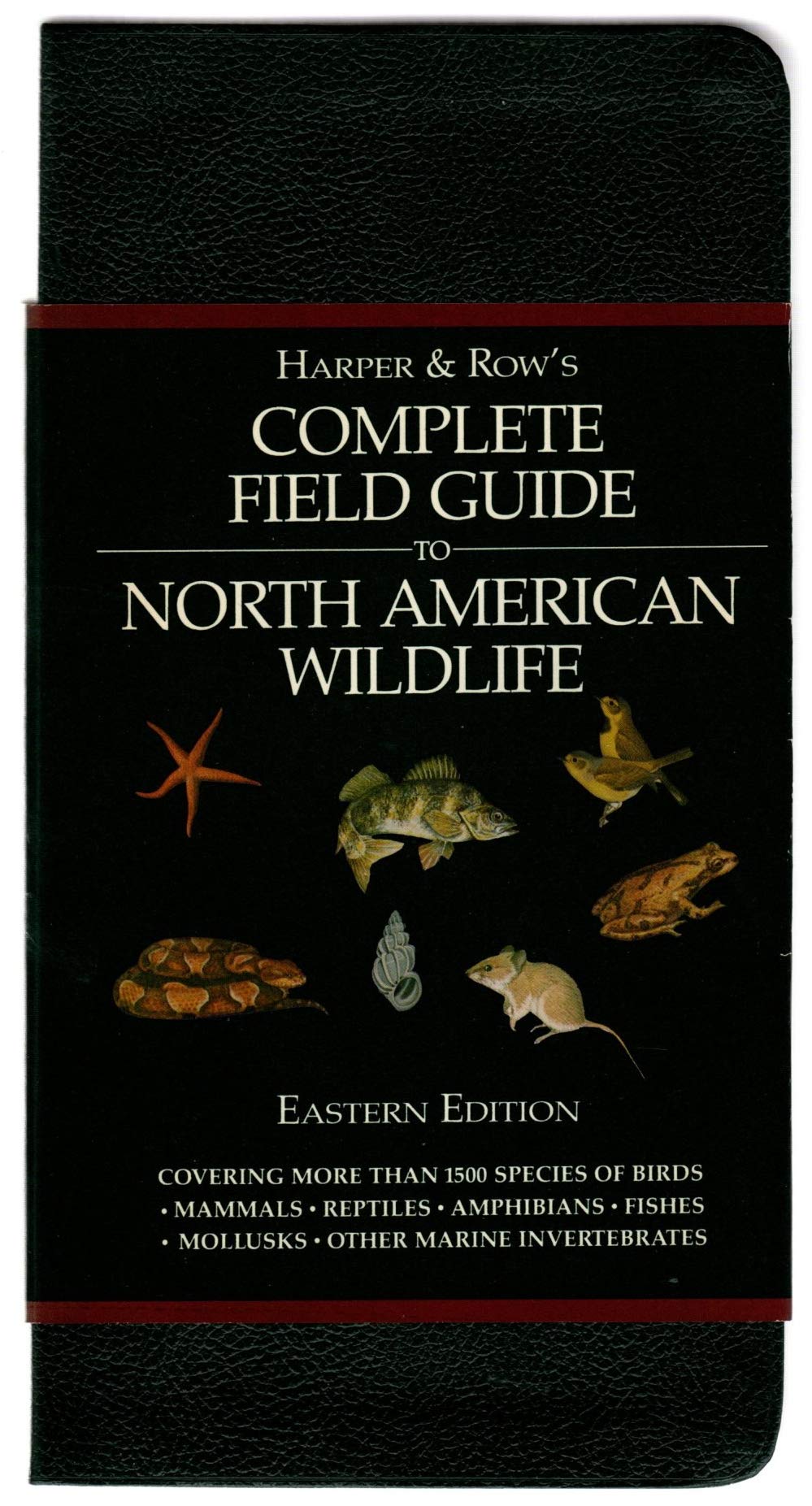 Harper & Row's Complete Field Guide to North American Wildlife,Western Edition: covering 1800 species of birds, mammals. used book depot