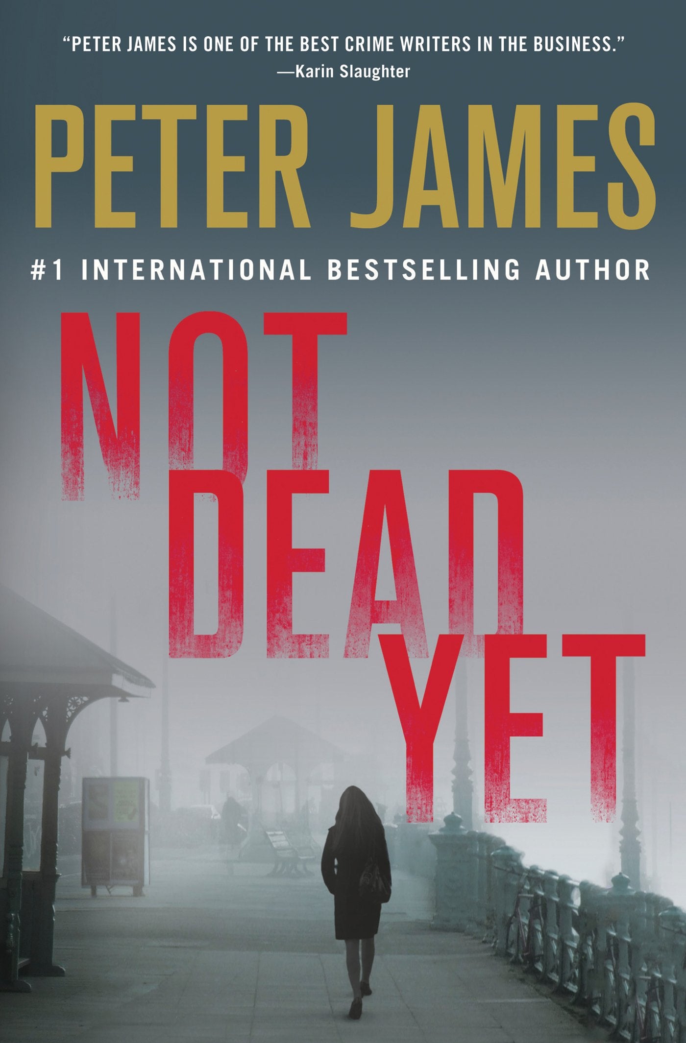 Not Dead Yet (Detective Superintendent Roy Grace)