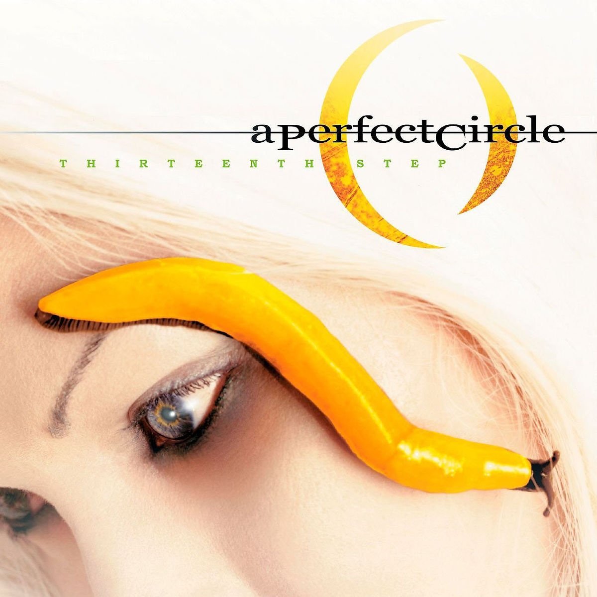 Thirteenth Step used book depot