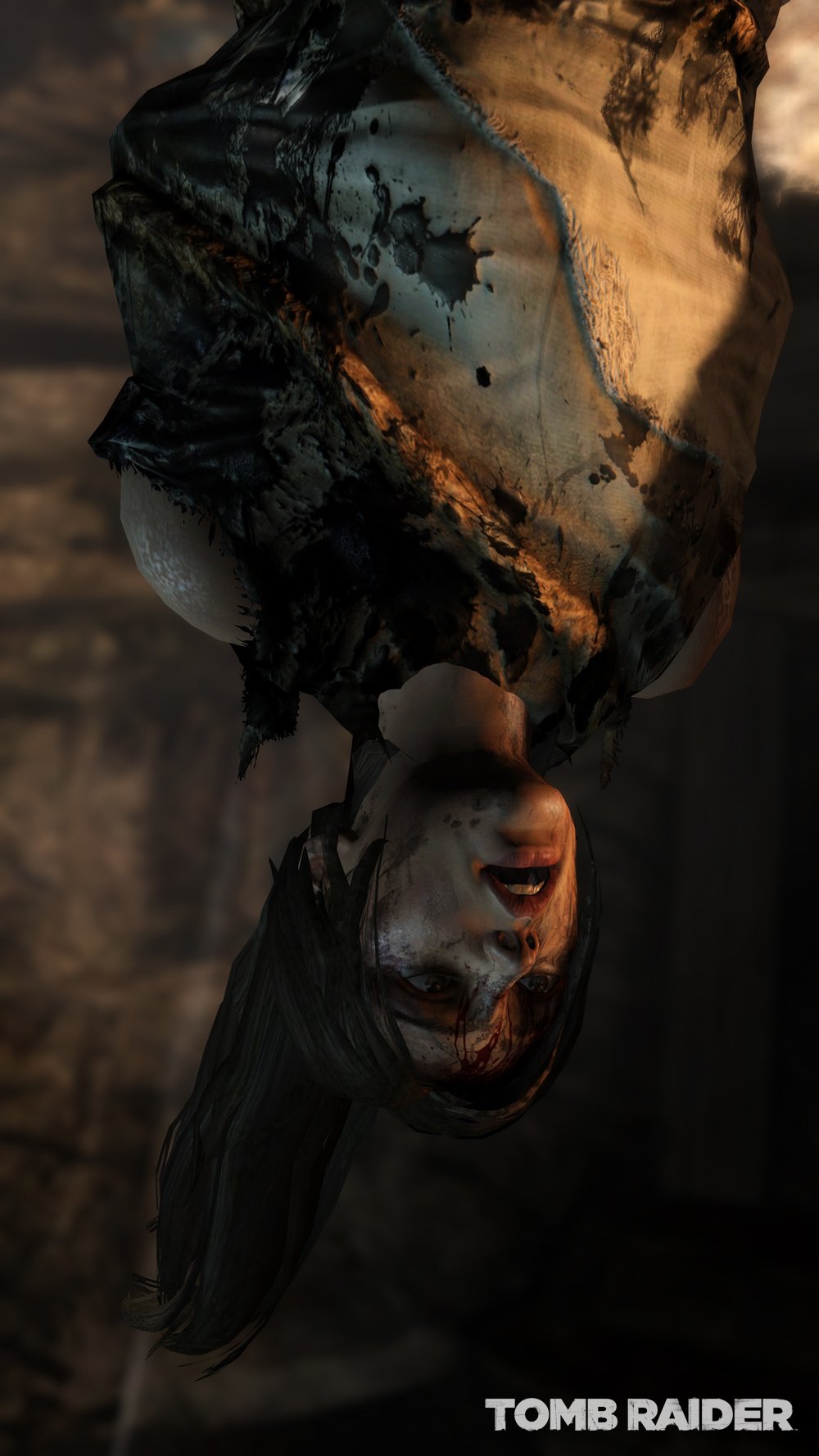 Tomb Raider used book depot