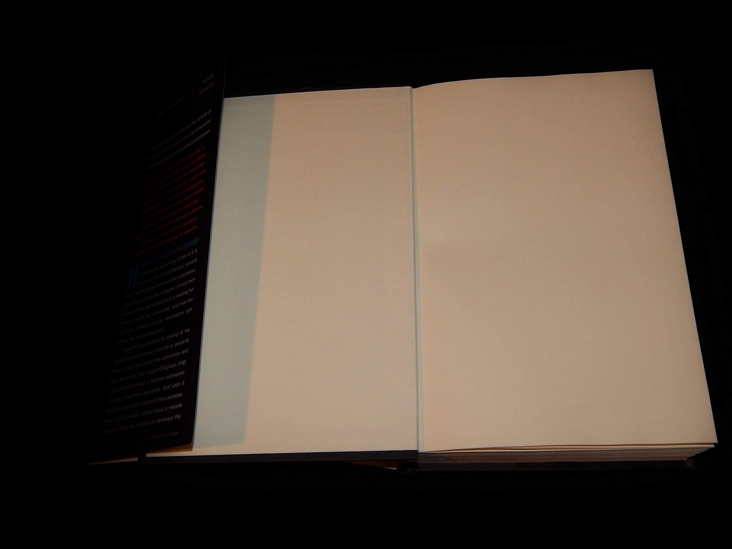 America: A Jake Grafton Novel