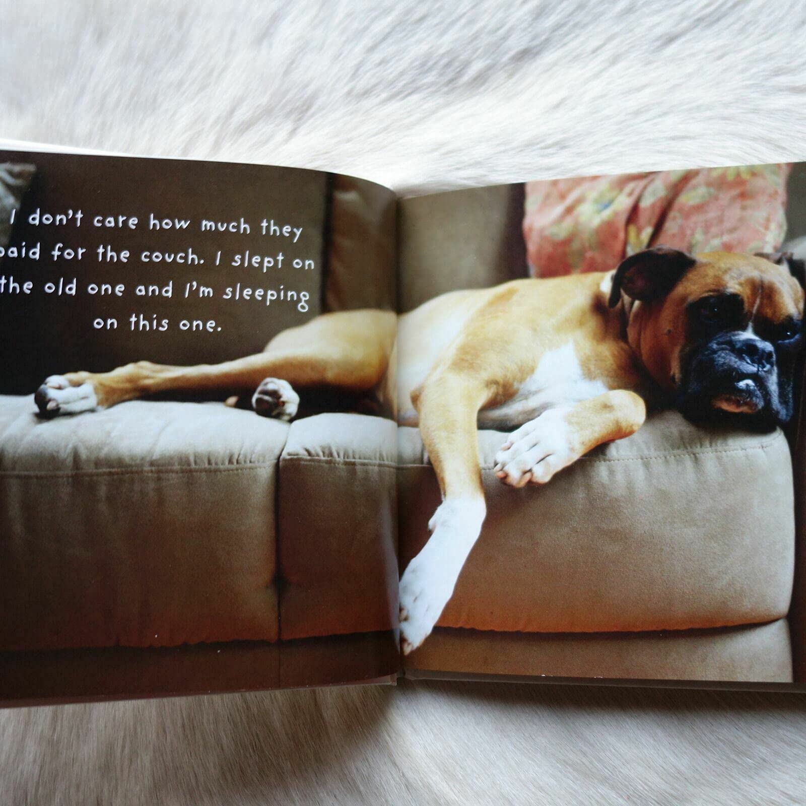 If Dogs Could Talk: Tongues Unleashed! used book depot