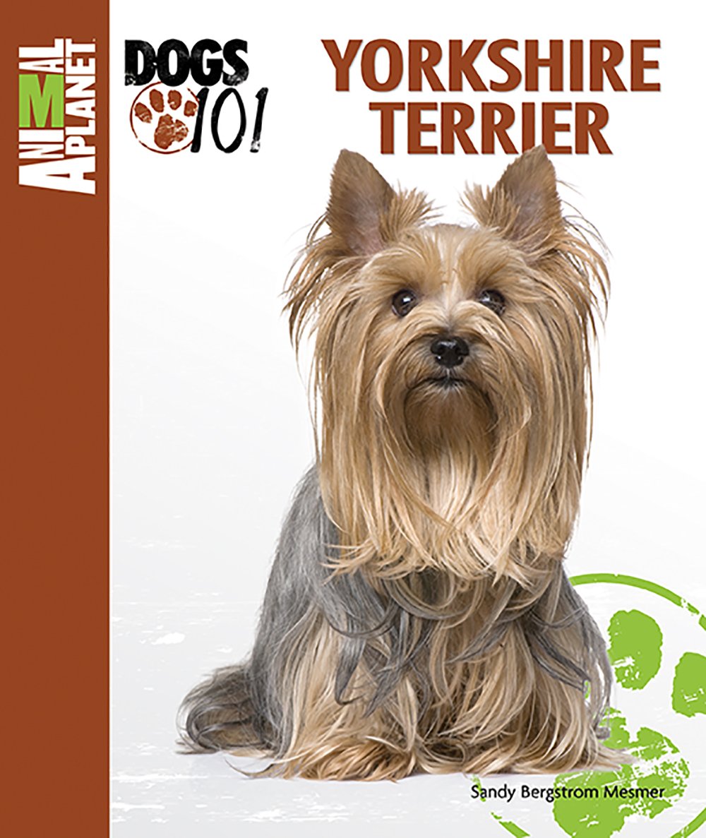 Yorkshire Terrier (Animal Planet Dogs 101) used book depot