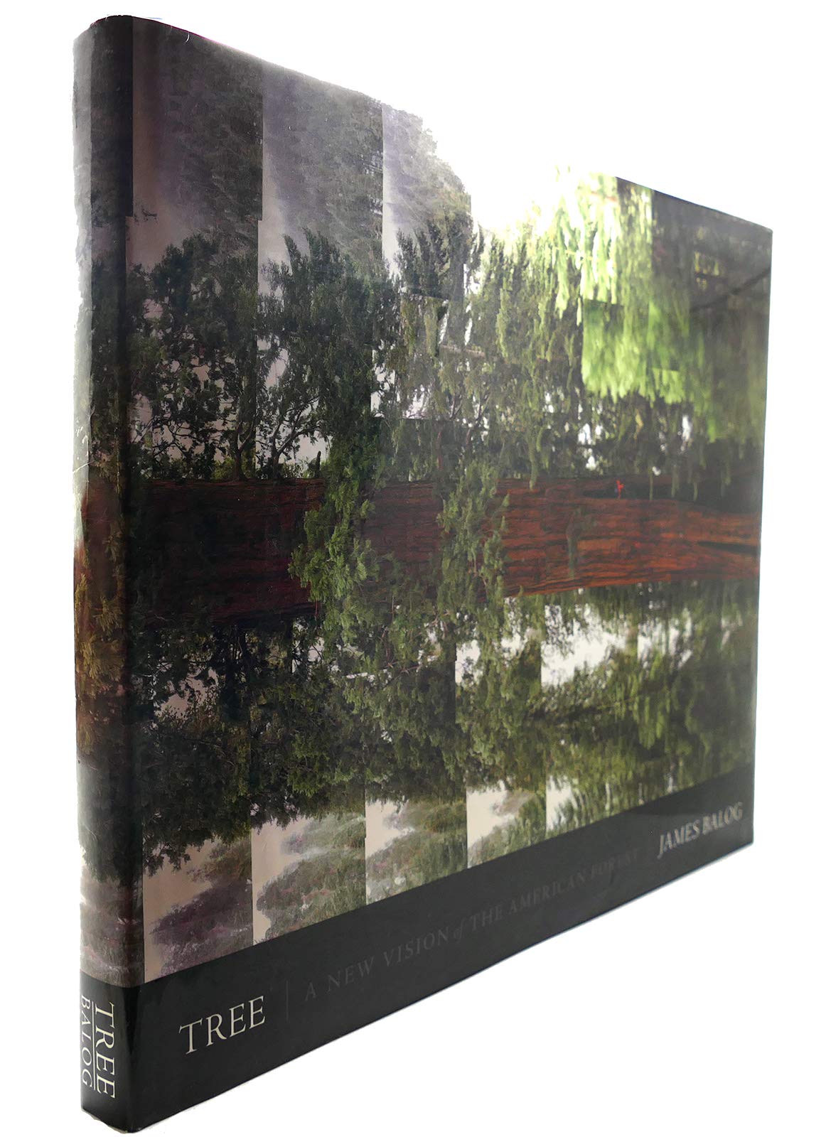 Tree: A New Vision of the American Forest used book depot