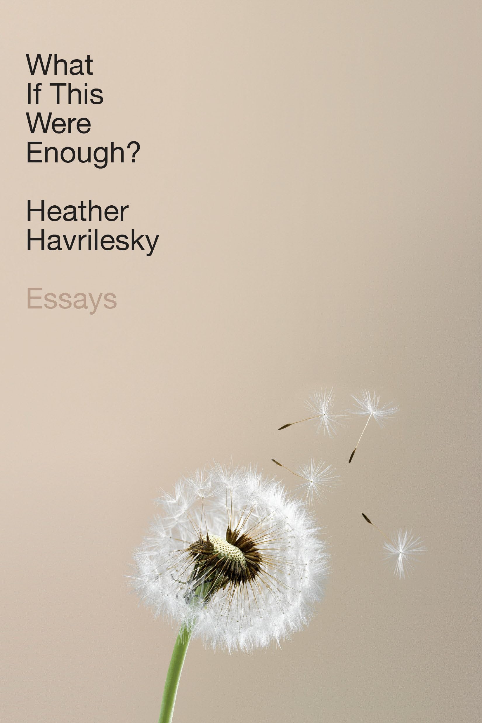What If This Were Enough?: Essays used book depot