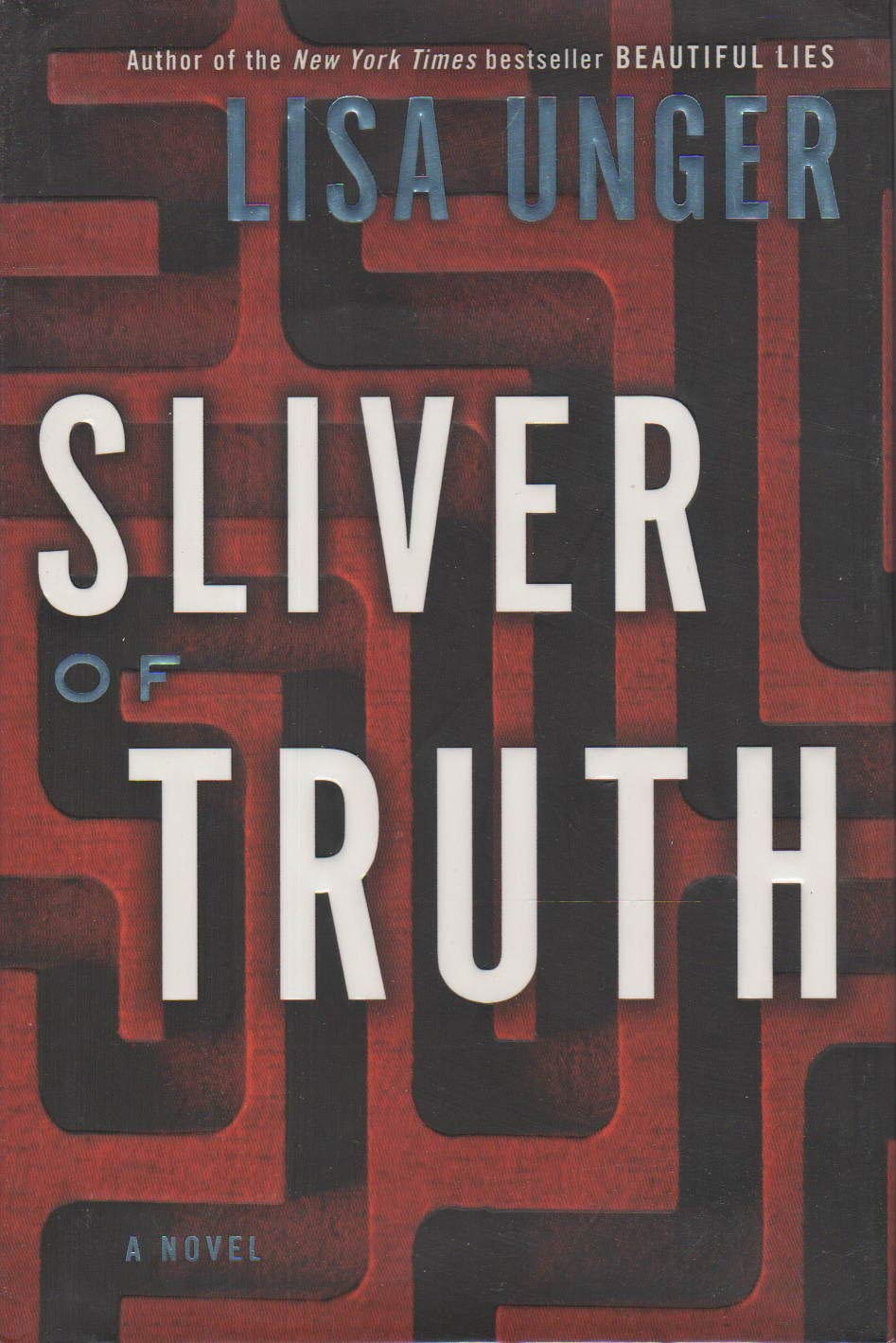 Sliver of Truth: A Novel used book depot