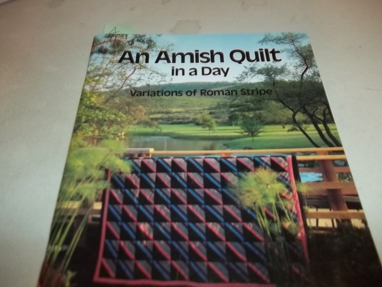 An Amish Quilt in a Day - Variations of Roman Stripe used book depot