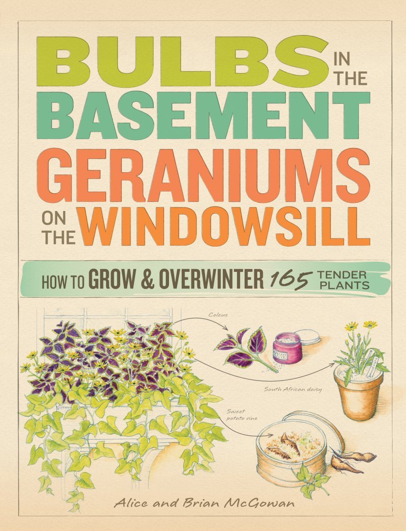 Bulbs in the Basement, Geraniums on the Windowsill: How to Grow and Overwinter 165 Tender Plants used book depot