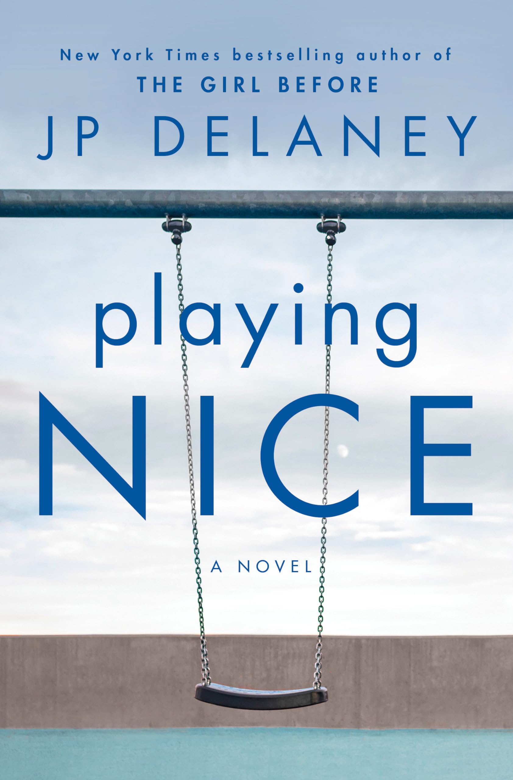 Playing Nice: A Novel used book depot