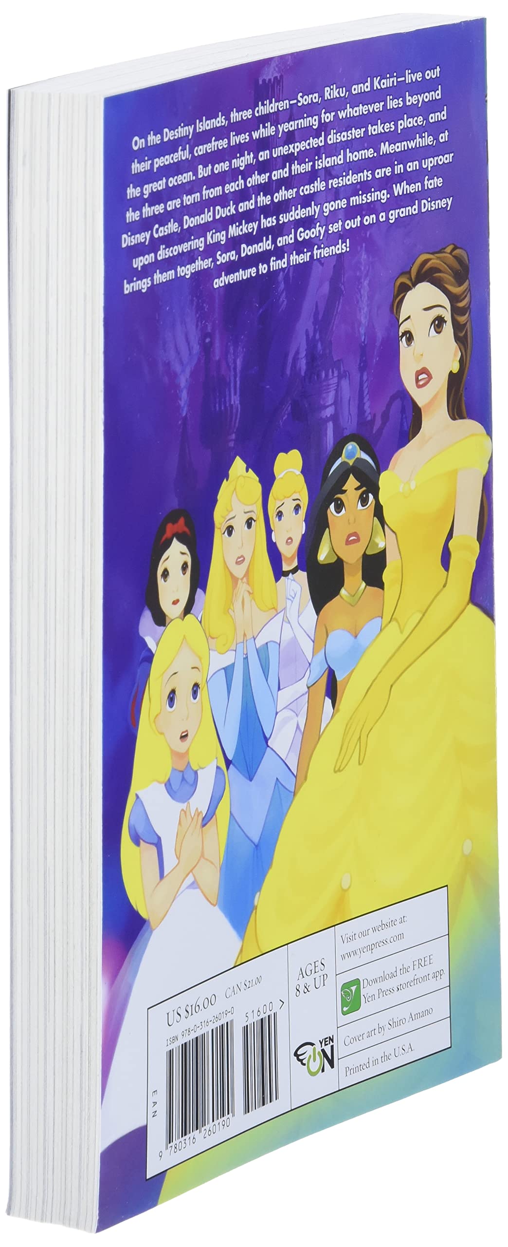Kingdom Hearts: The Novel - light novel used book depot