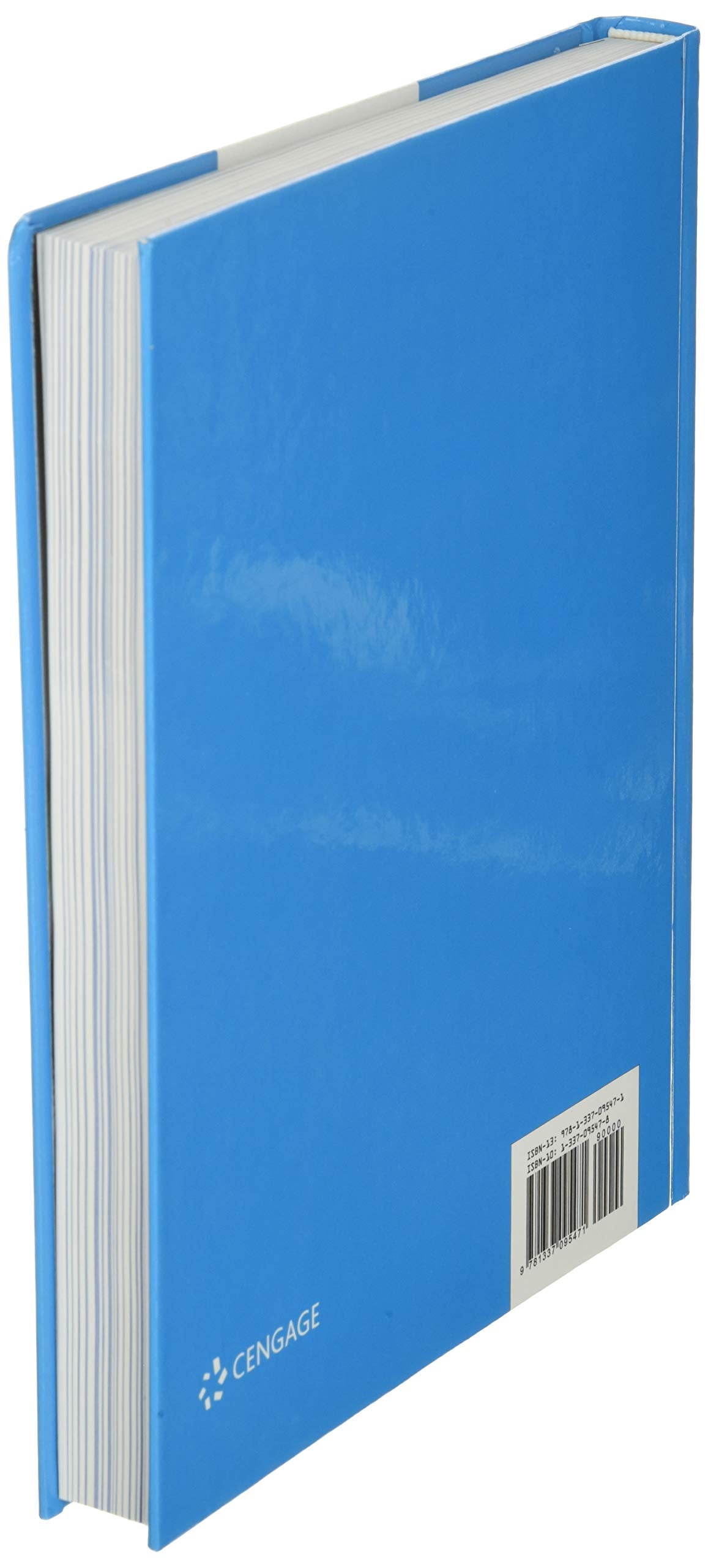 Successful Project Management used book depot