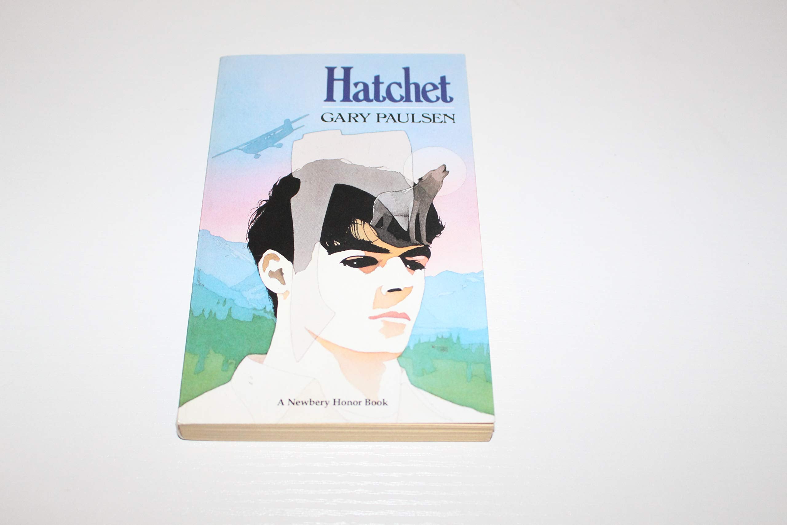 Hatchet used book depot
