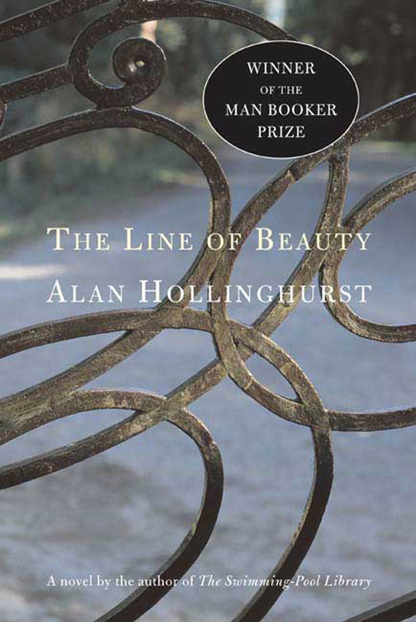 The Line of Beauty used book depot