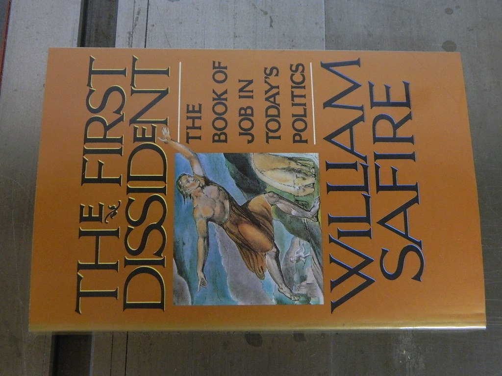 The First Dissident: The Book of Job in Today's Politics used book depot