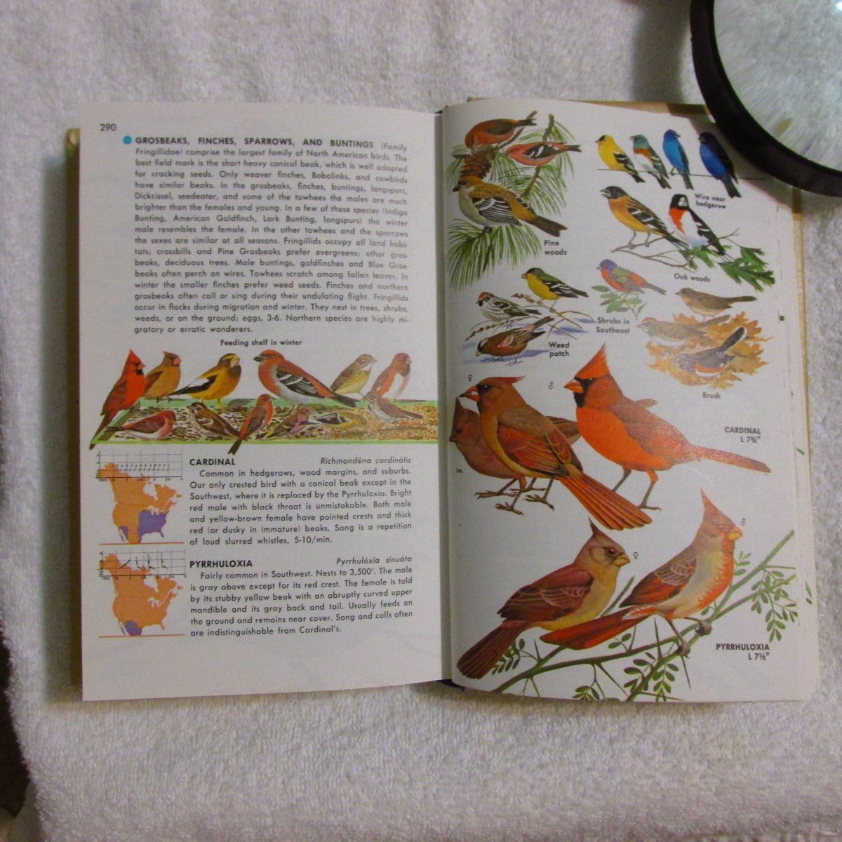 Birds of North America: A Guide to Field Identification used book depot