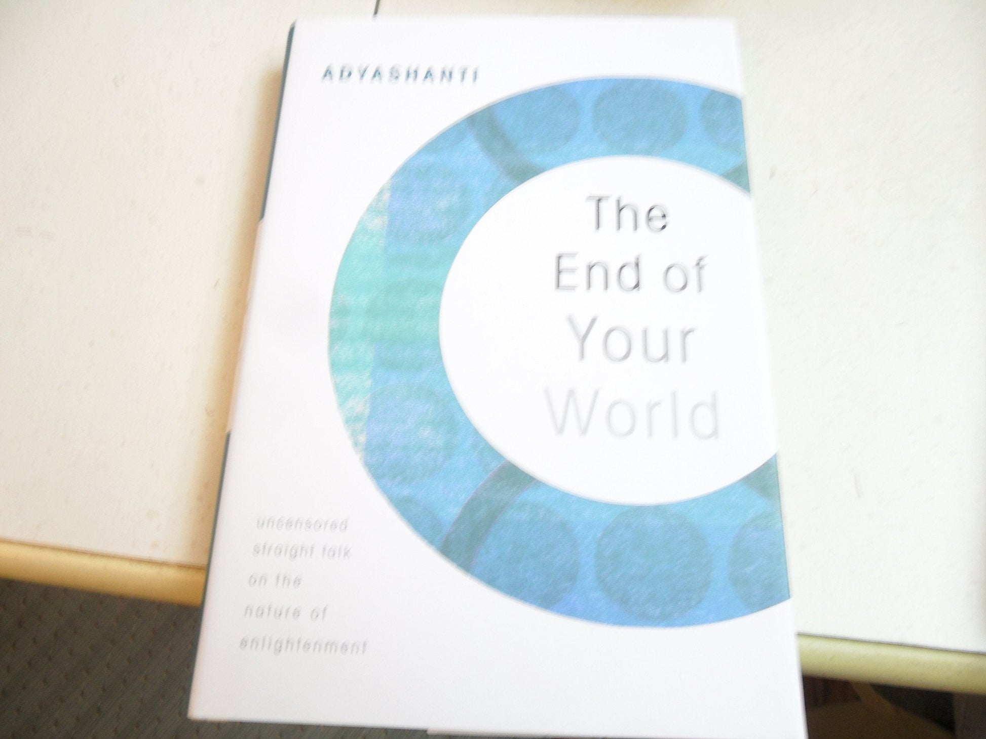 The End of Your World: Uncensored Straight Talk on the Nature of Enlightenment used book depot