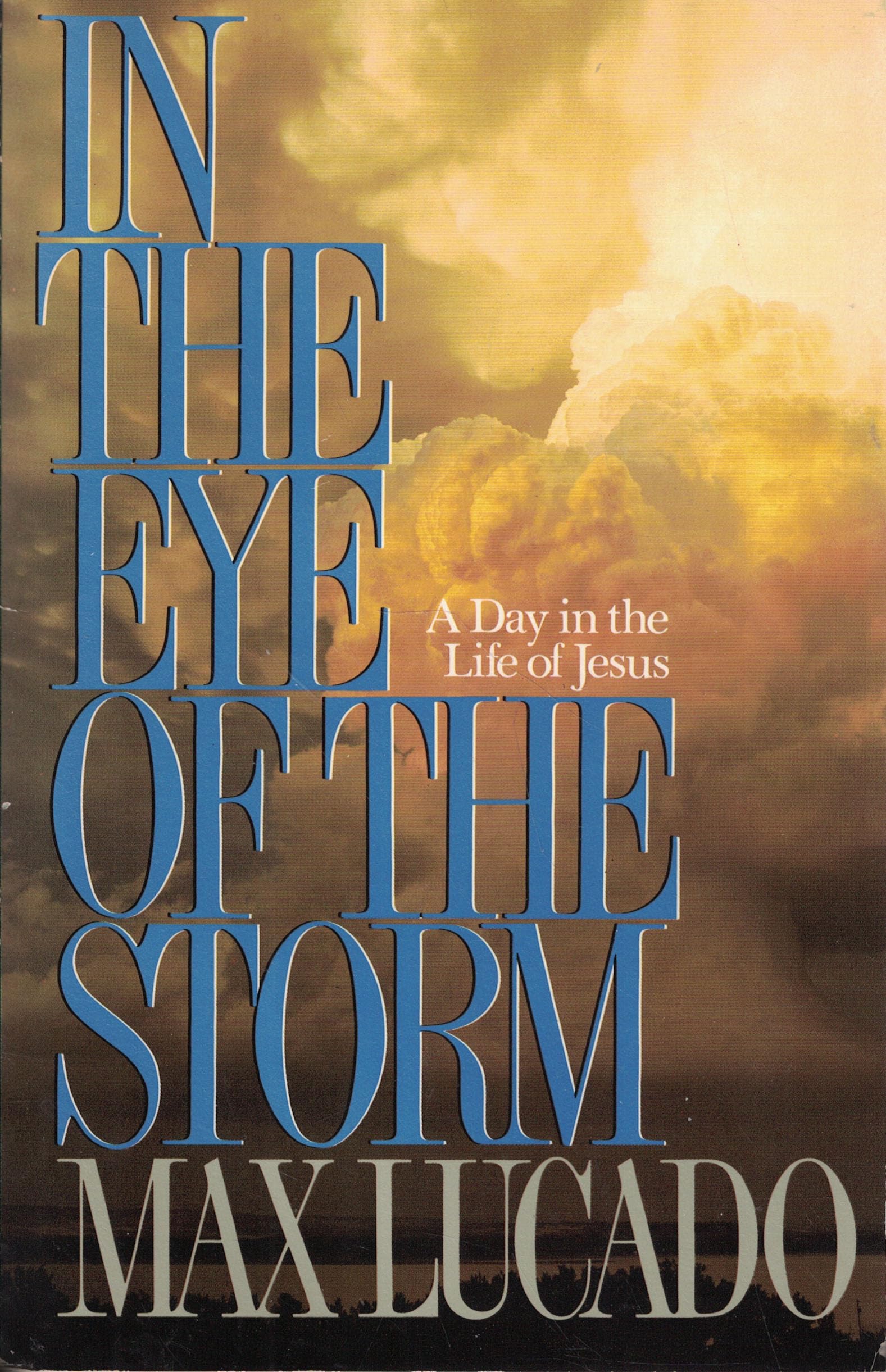 In the Eye of the Storm: A Day in the Life of Jesus used book depot
