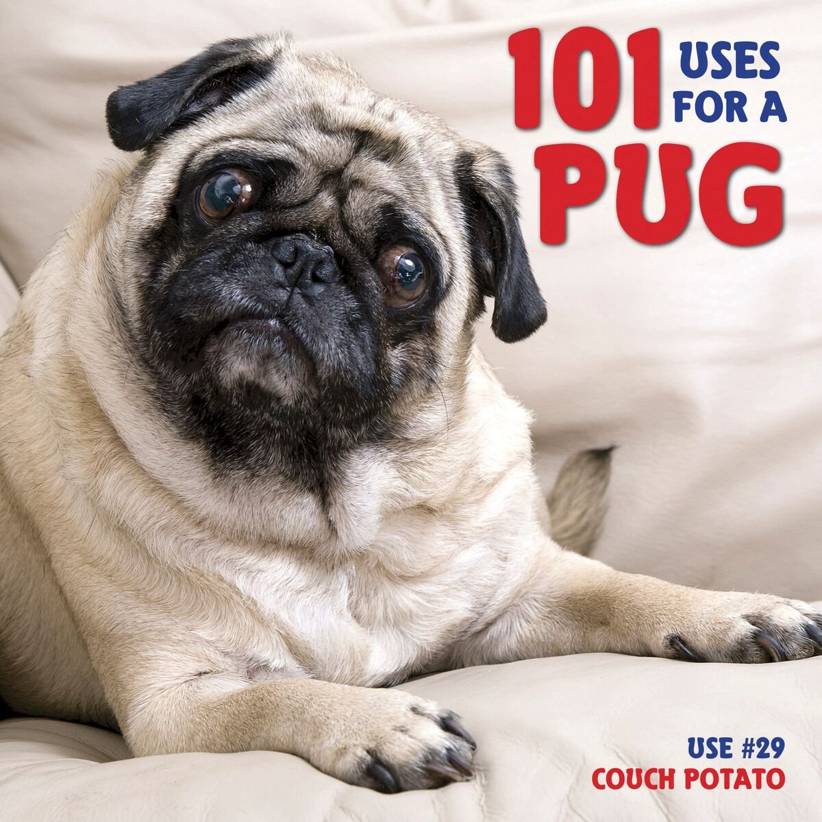 101 Uses For A Pug used book depot