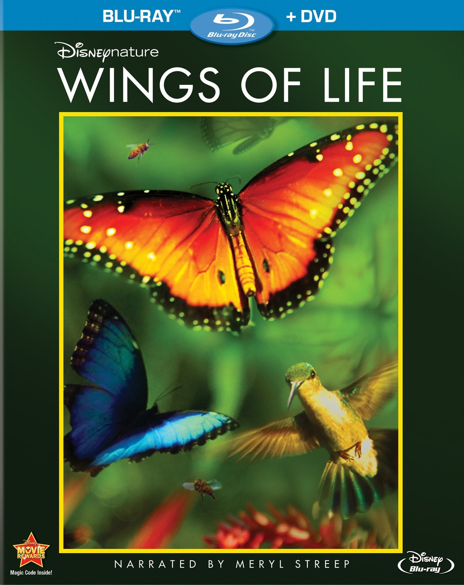 Disneynature: Wings of Life (Blu-ray / DVD) used book depot