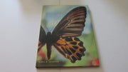 The Butterfly Alphabet used book depot