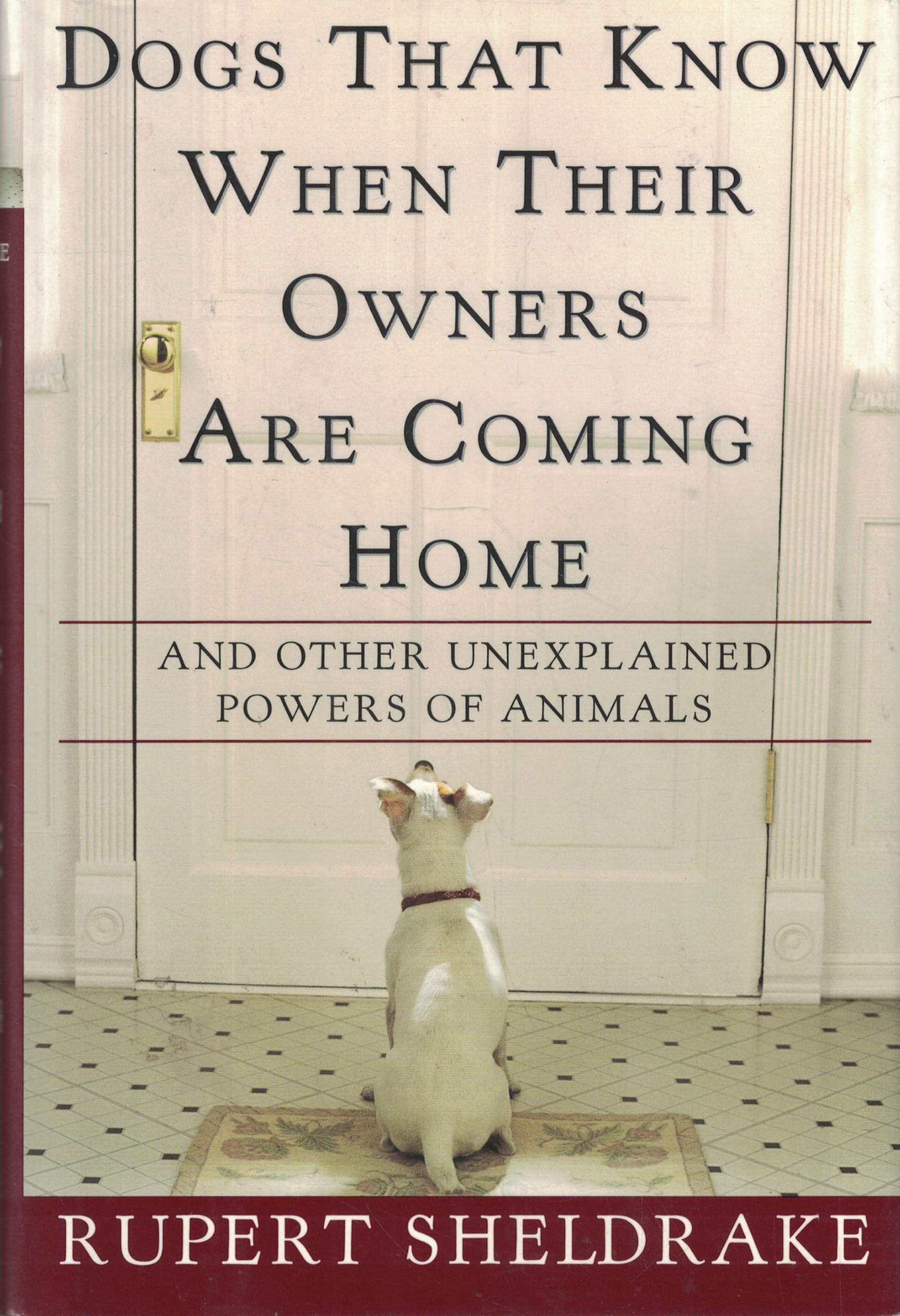 Dogs That Know When Their Owners Are Coming Home: And Other Unexplained Powers of Animals used book depot