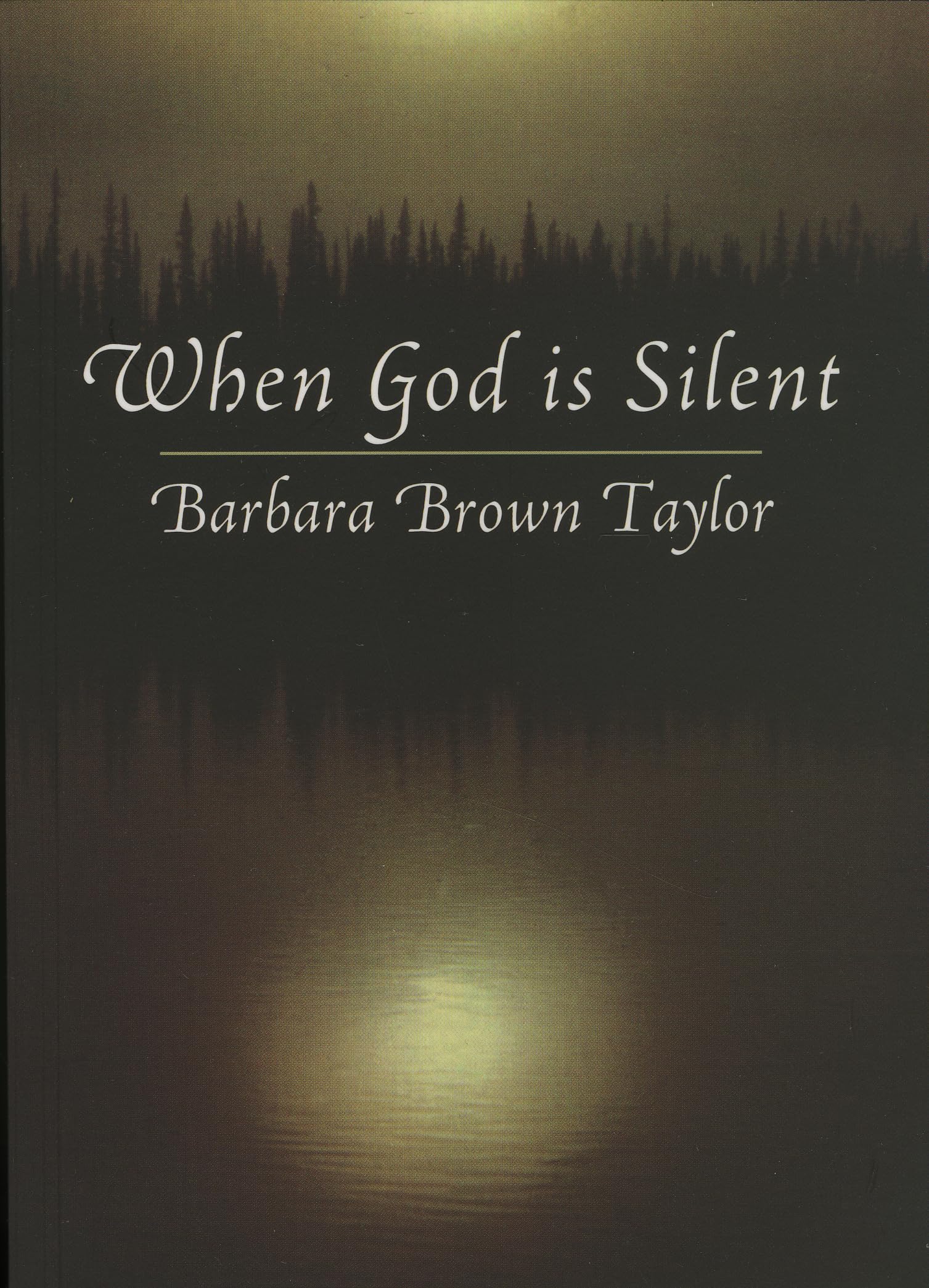 When God is Silent (Lyman Beecher Lectures on Preaching) used book depot