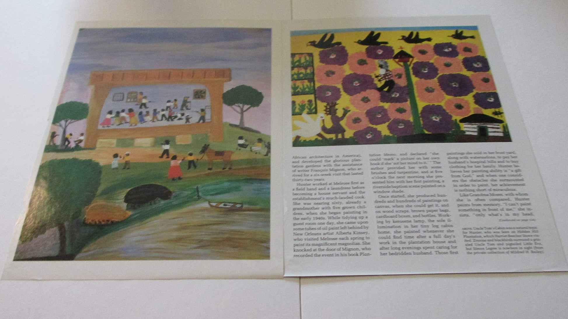 Clementine Hunter: American Folk Artist used book depot