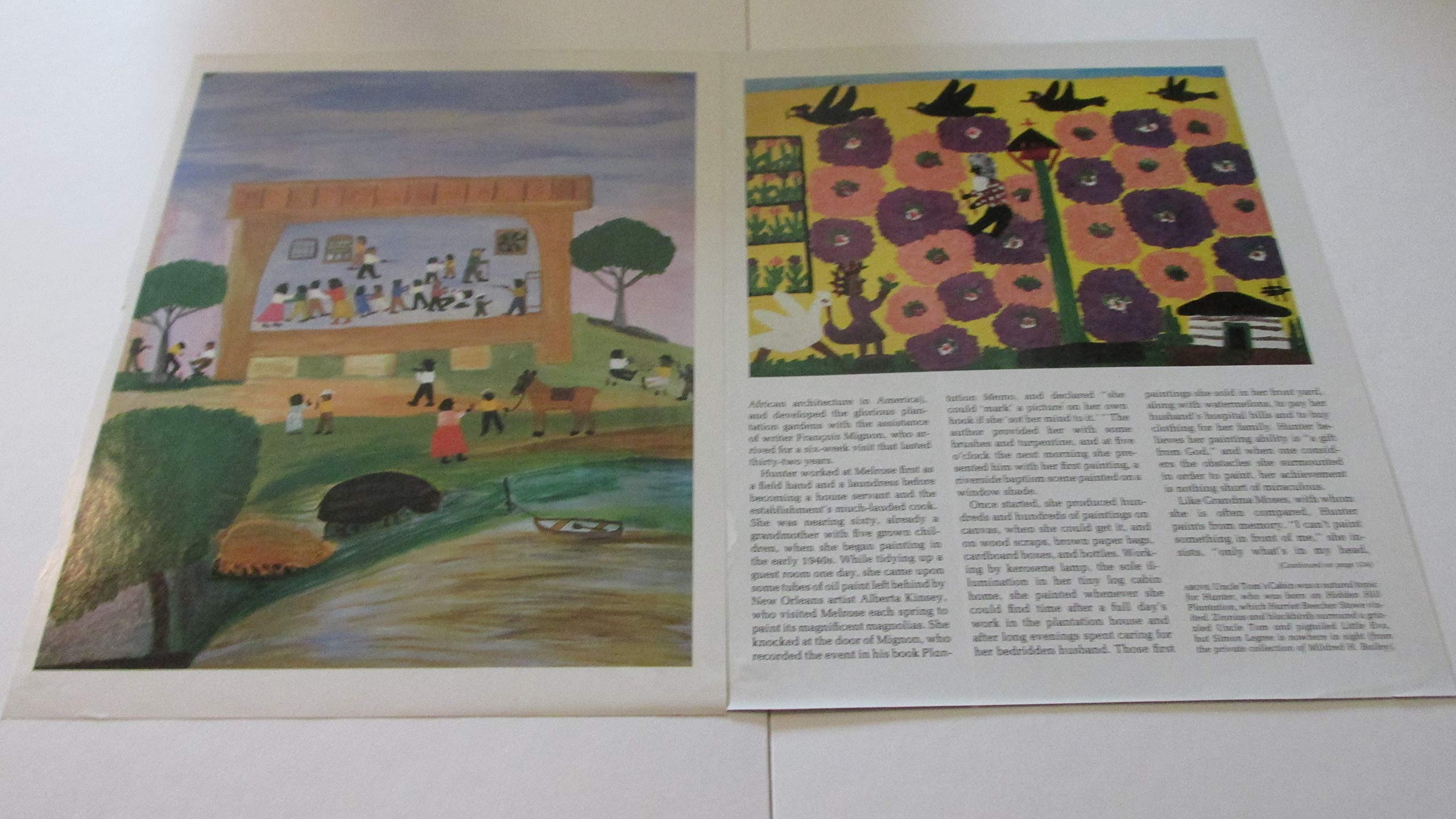 Clementine Hunter: American Folk Artist used book depot