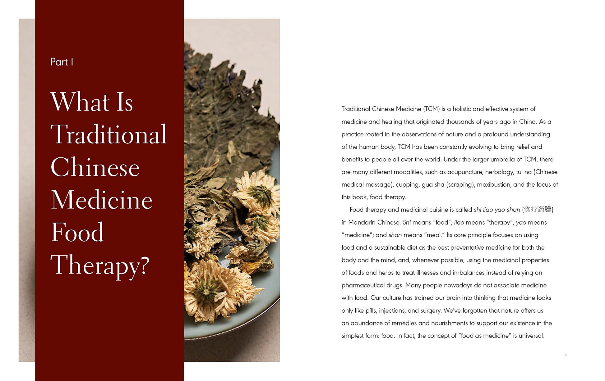 The Five Elements Cookbook: A Guide to Traditional Chinese Medicine with Recipes for Everyday Healing used book depot