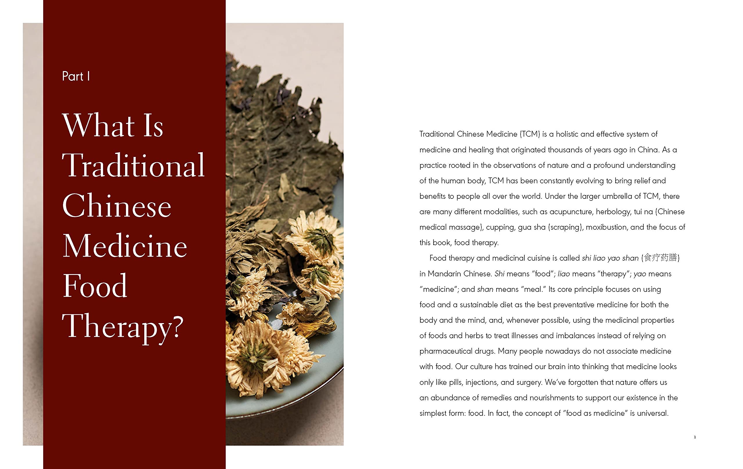The Five Elements Cookbook: A Guide to Traditional Chinese Medicine with Recipes for Everyday Healing used book depot