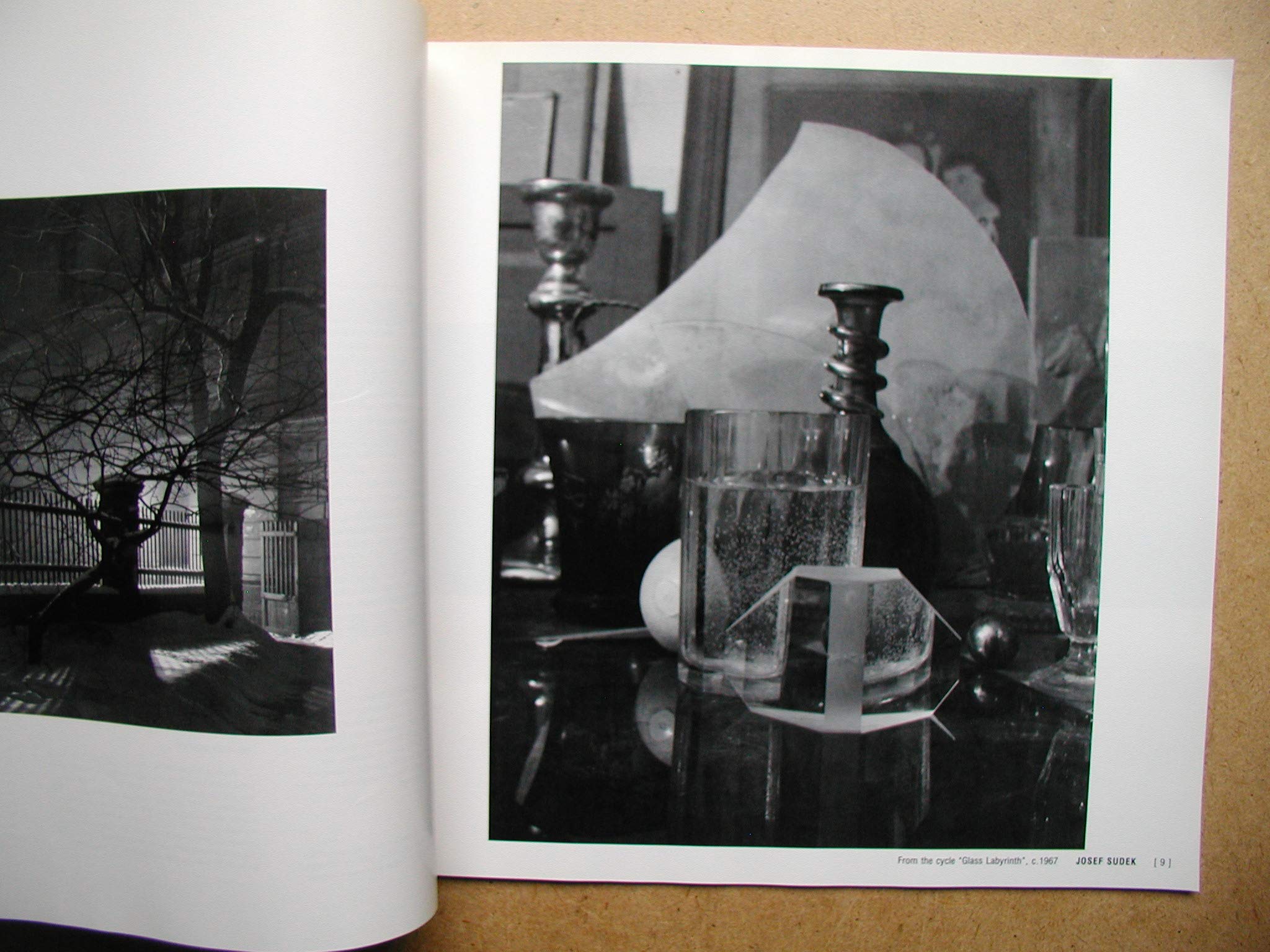 The Contact print, 1946-1982 (Untitled)