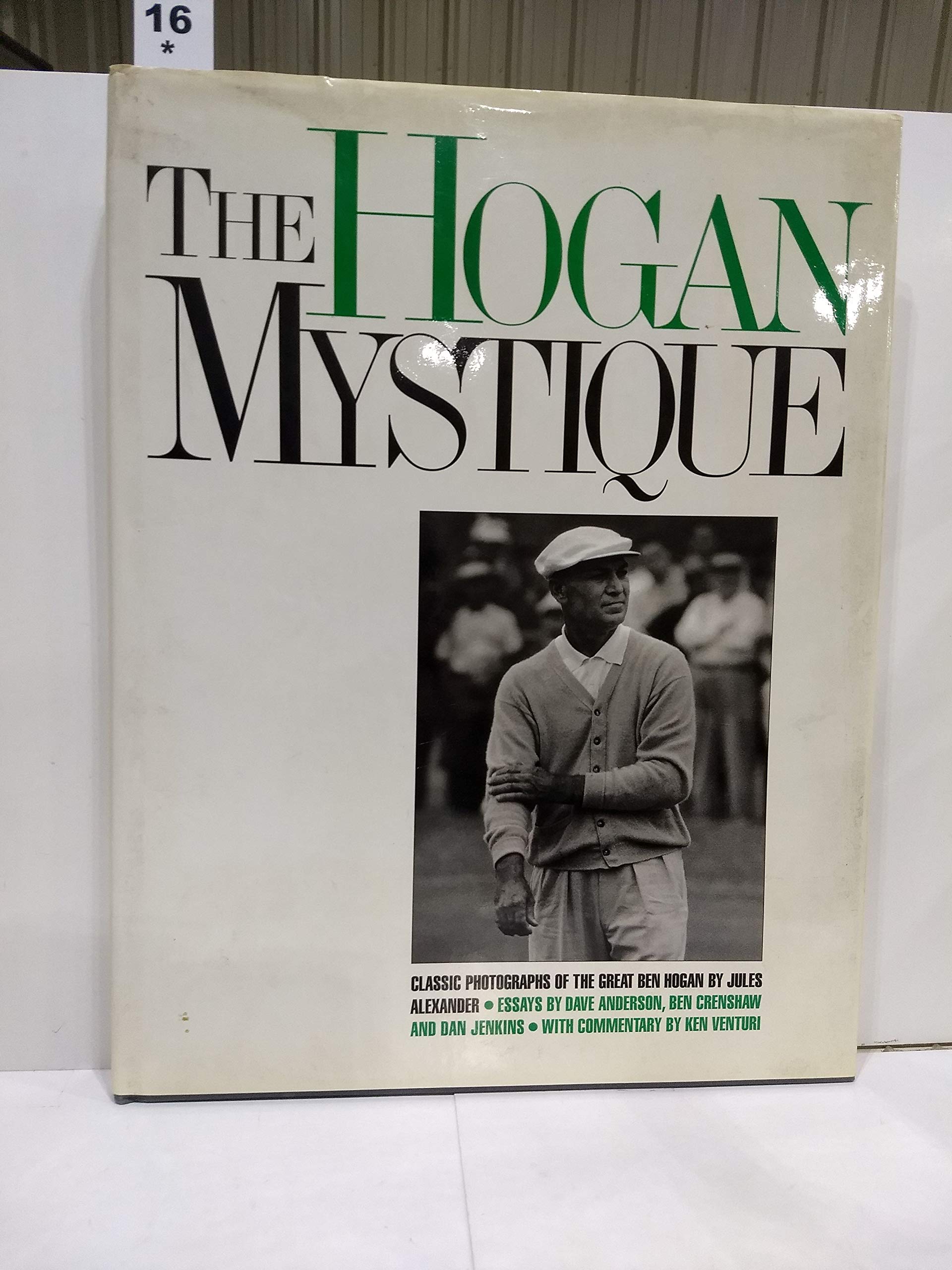 The Hogan Mystique used book depot