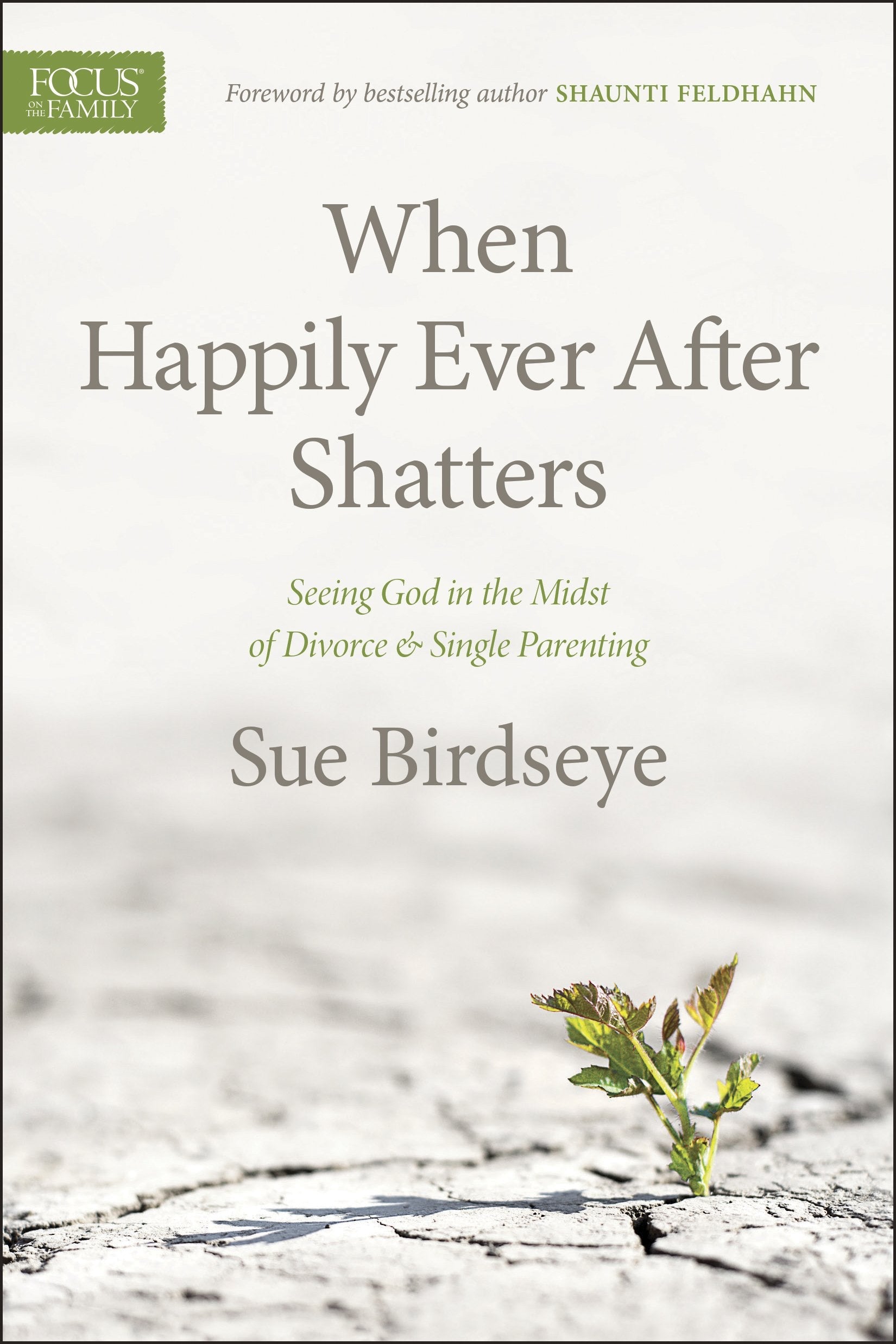 When Happily Ever After Shatters: Seeing God in the Midst of Divorce & Single Parenting used book depot